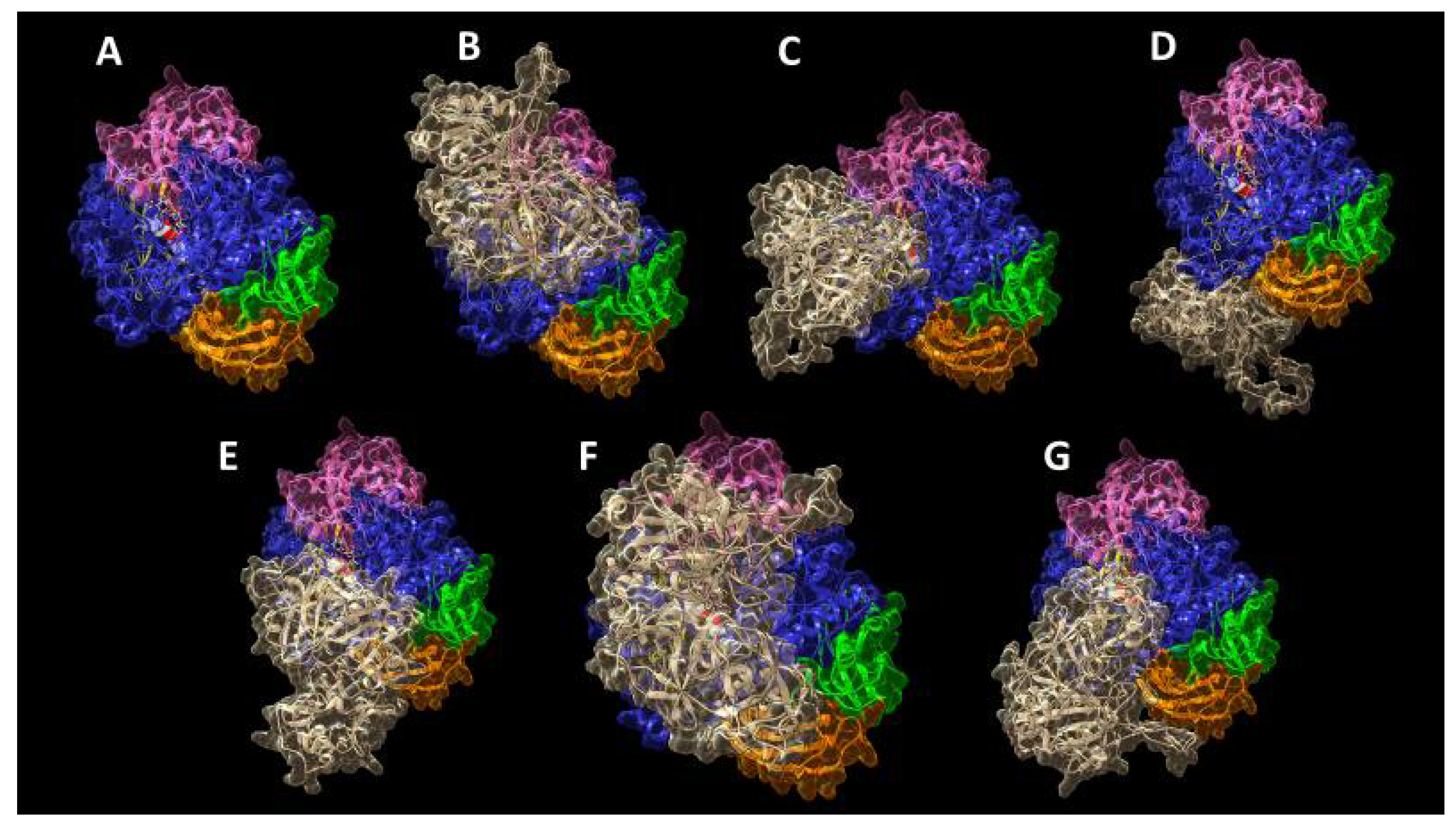 Ijms 21 07305 g006 Ijms 21 07305 g006