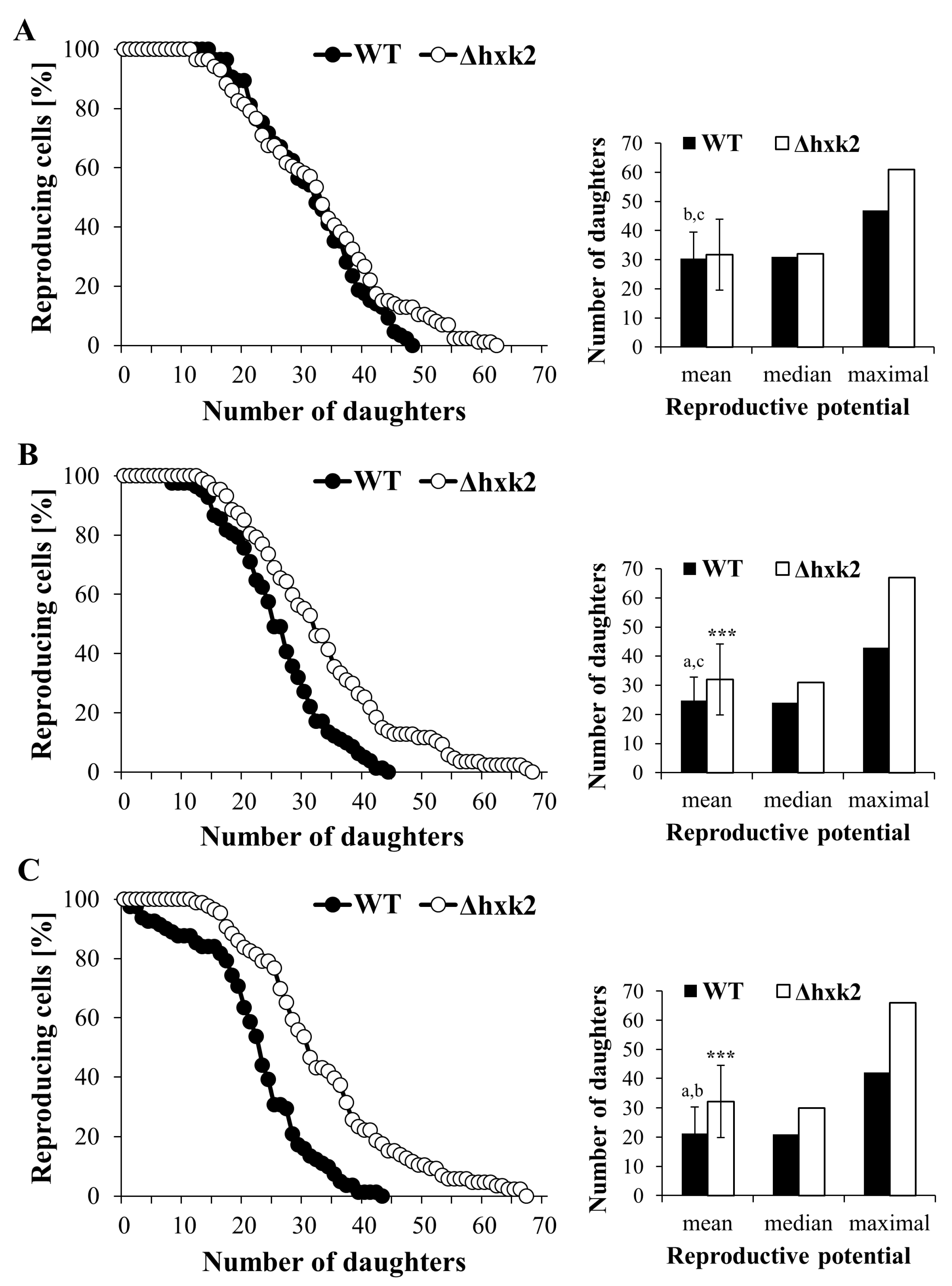 Ijms Free Full Text Reproductive Potential Of Yeast Cells Depends On Overall Action Of Interconnected Changes In Central Carbon Metabolism Cellular Biosynthetic Capacity And Proteostasis Html