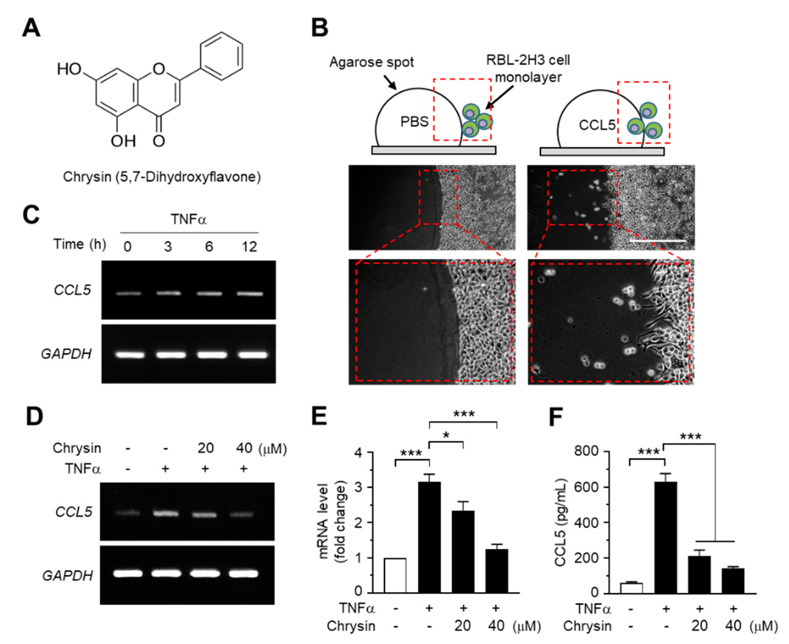 Ijms 21 07348 g001 Ijms 21 07348 g001