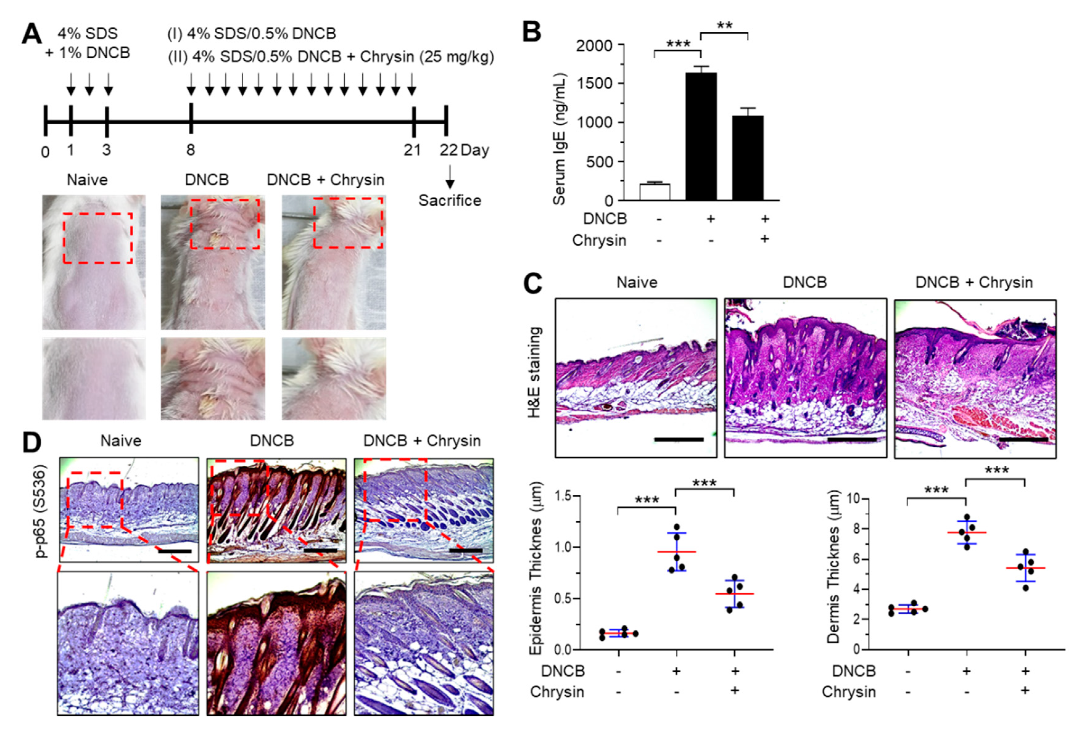 Ijms 21 07348 g005 Ijms 21 07348 g005