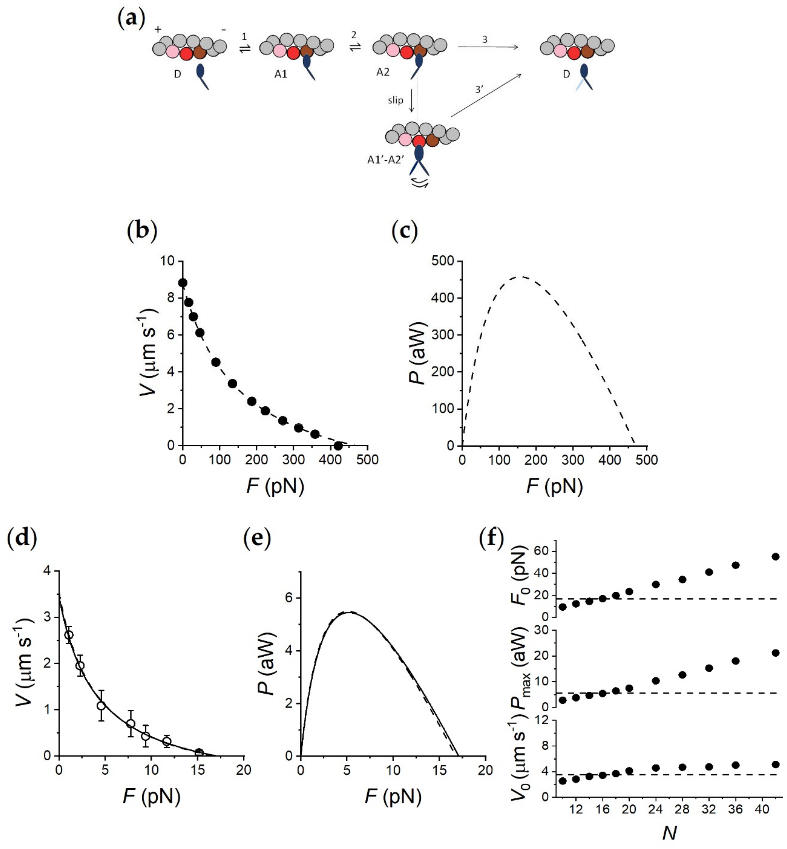 Ijms 21 07372 g003 Ijms 21 07372 g003