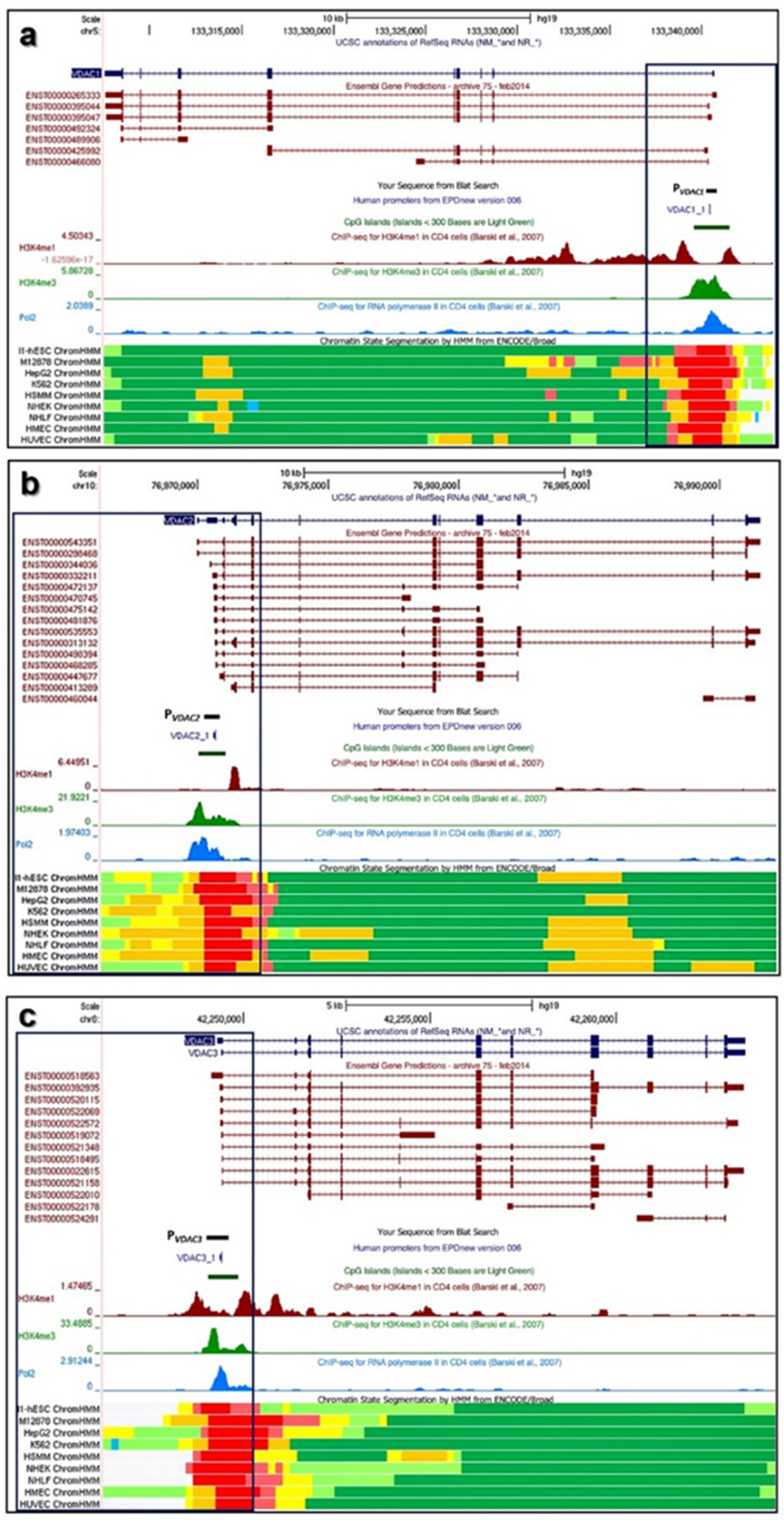Ijms 21 07388 g001 Ijms 21 07388 g001