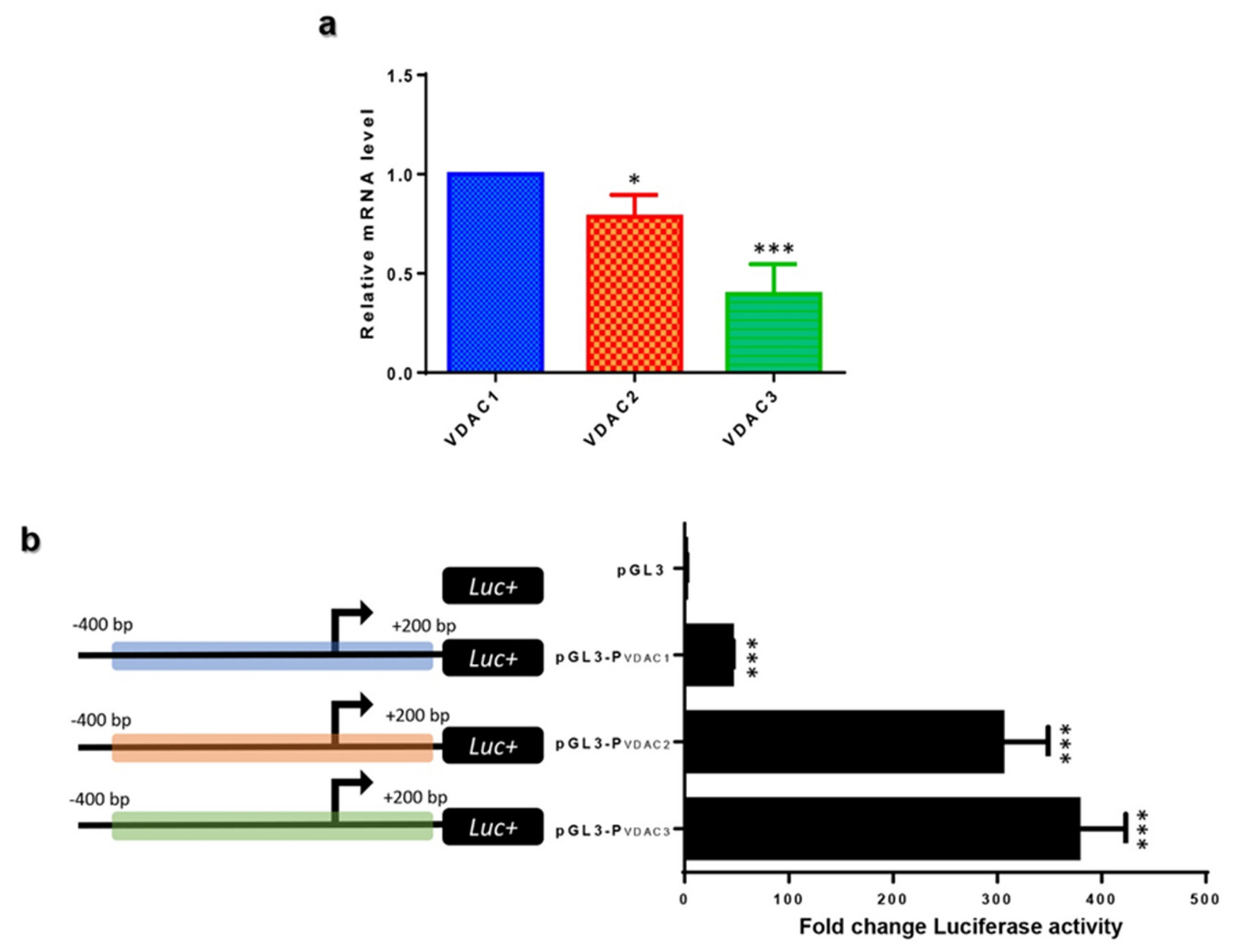 Ijms 21 07388 g004 Ijms 21 07388 g004