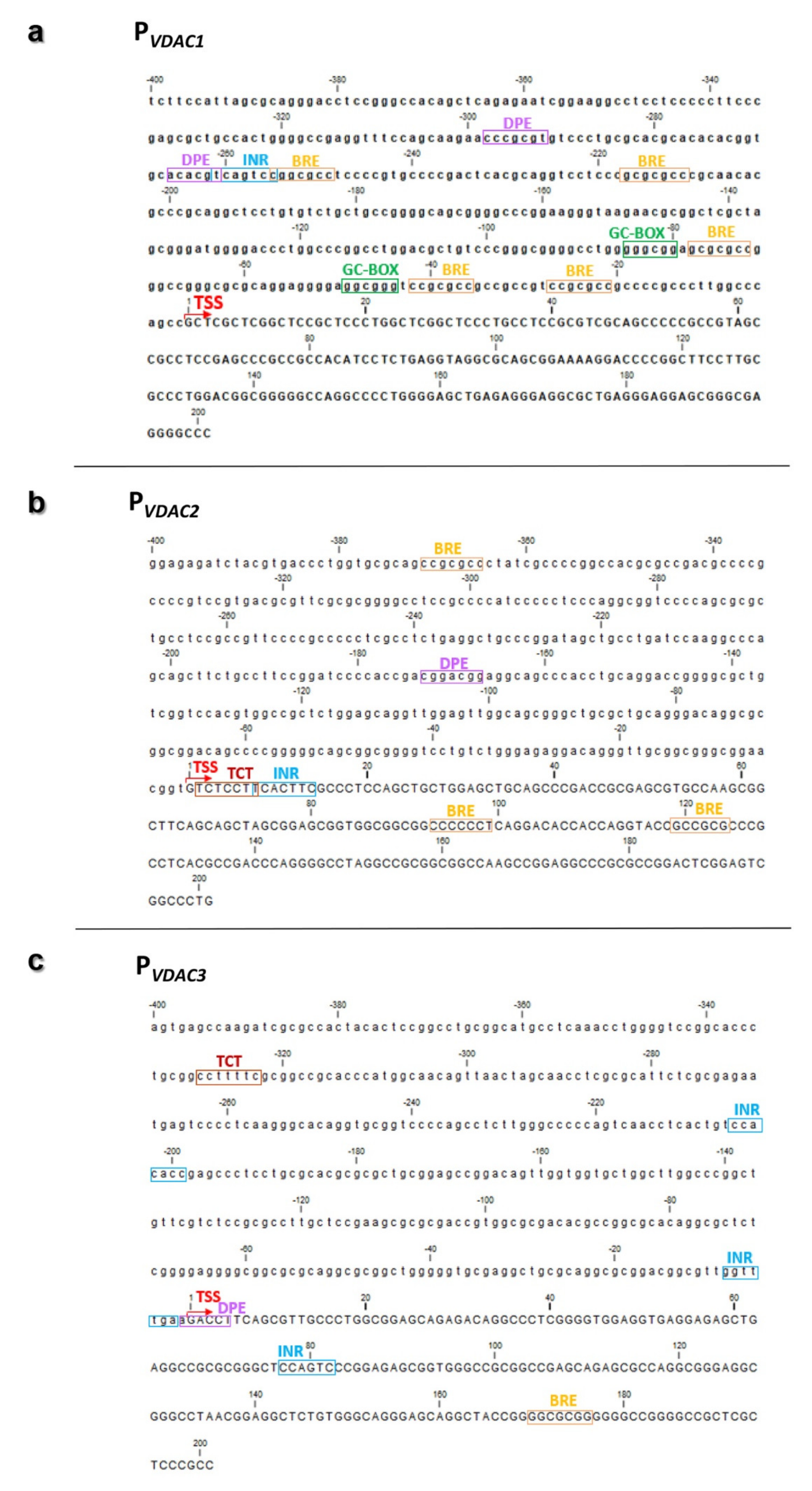Ijms 21 07388 g005 Ijms 21 07388 g005