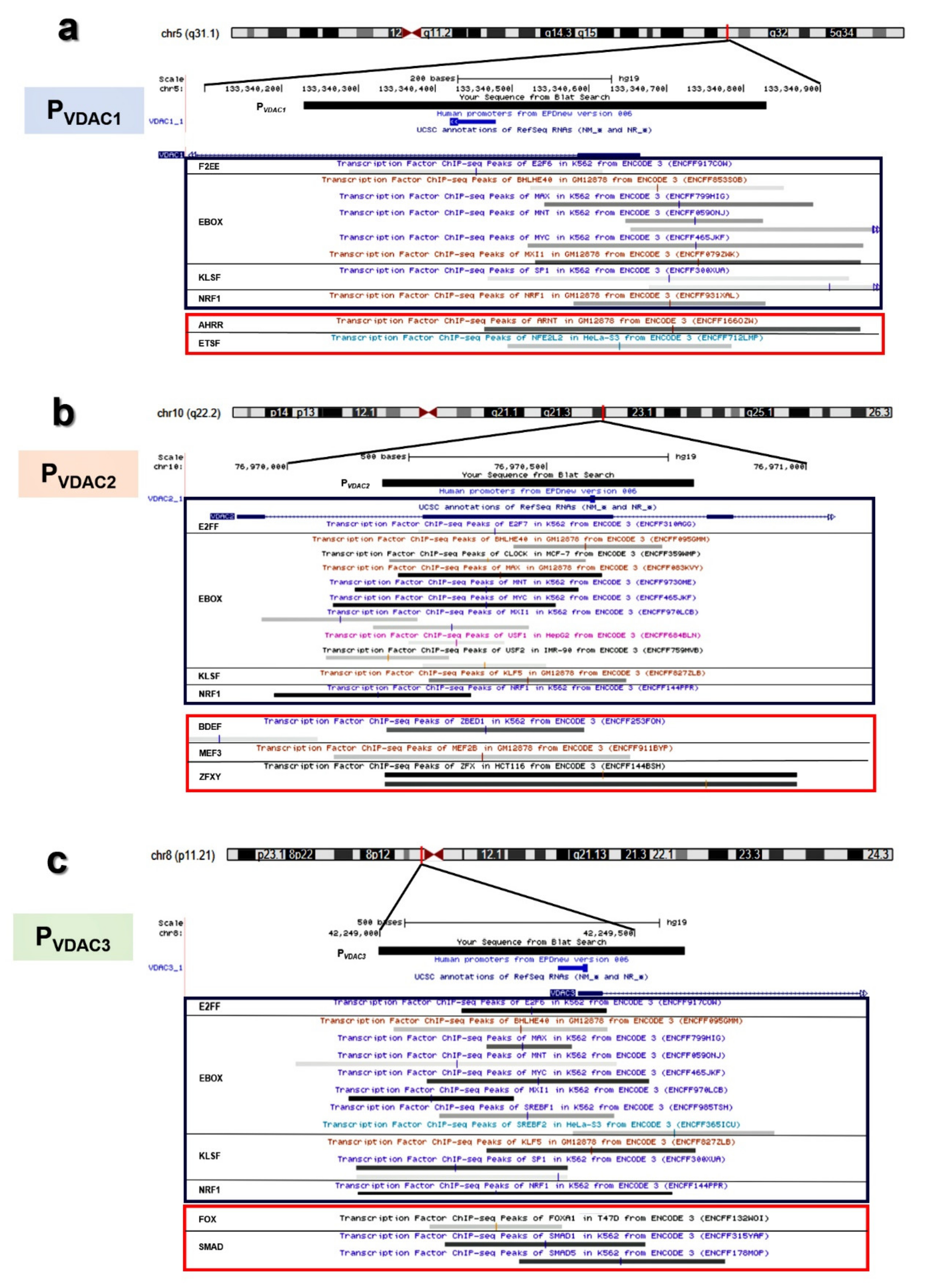 Ijms 21 07388 g007 Ijms 21 07388 g007