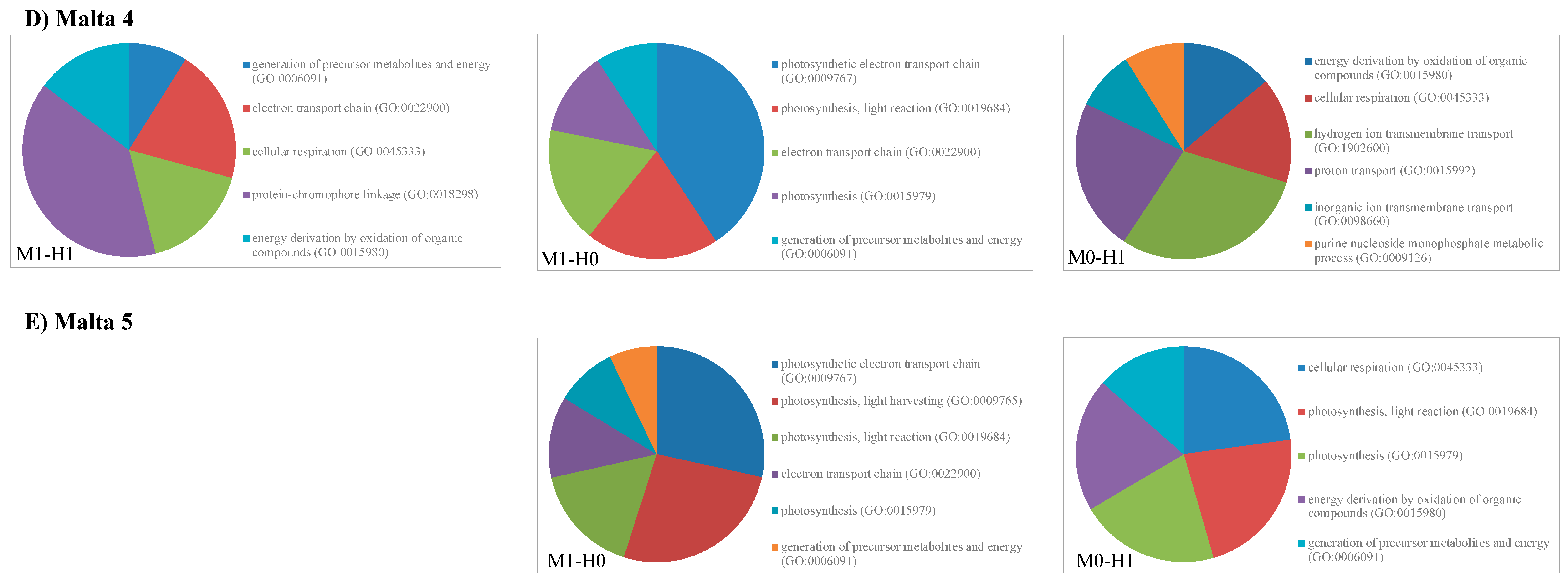 Ijms 21 07393 g004b Ijms 21 07393 g004b