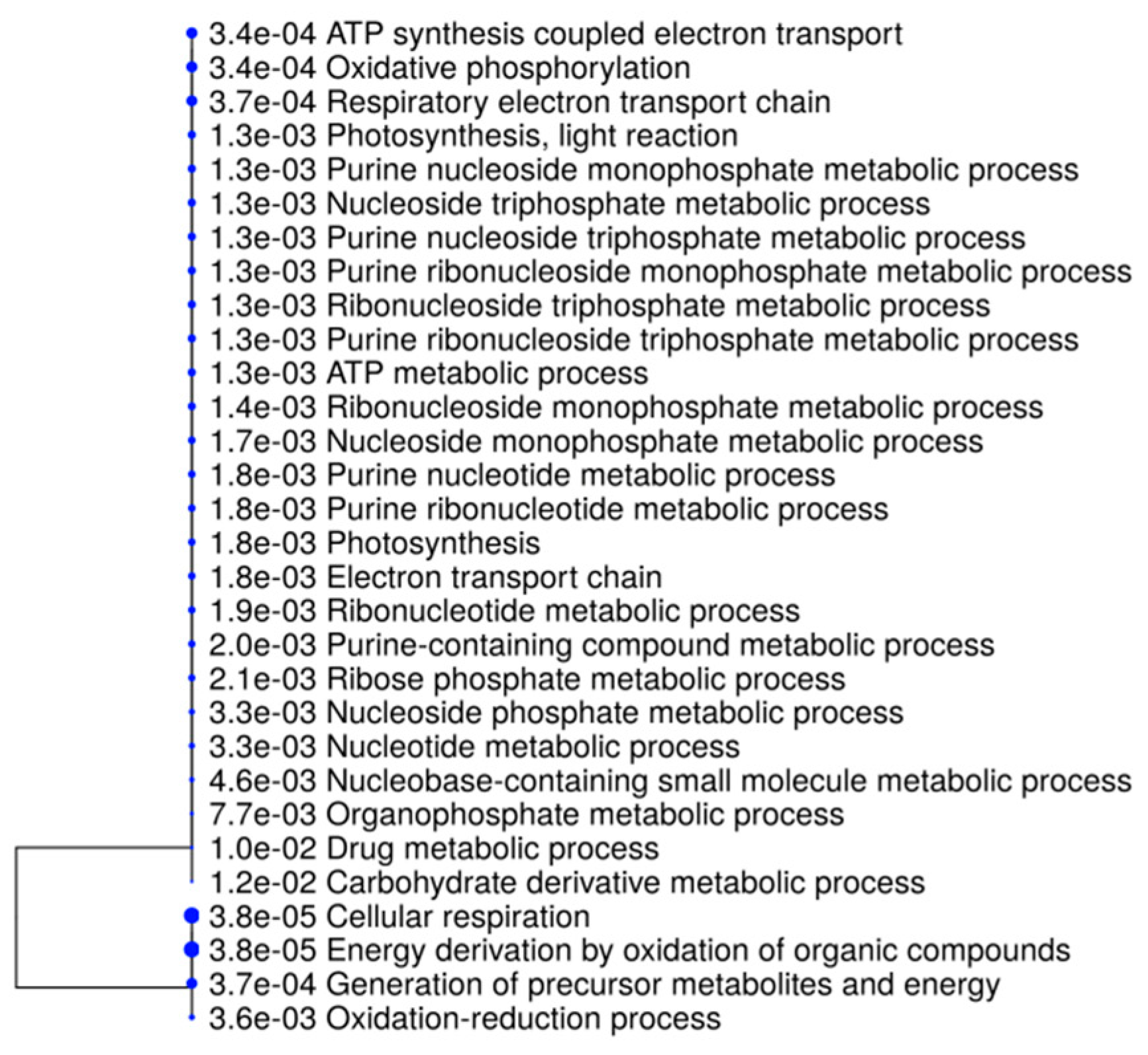 Ijms 21 07393 g006 Ijms 21 07393 g006