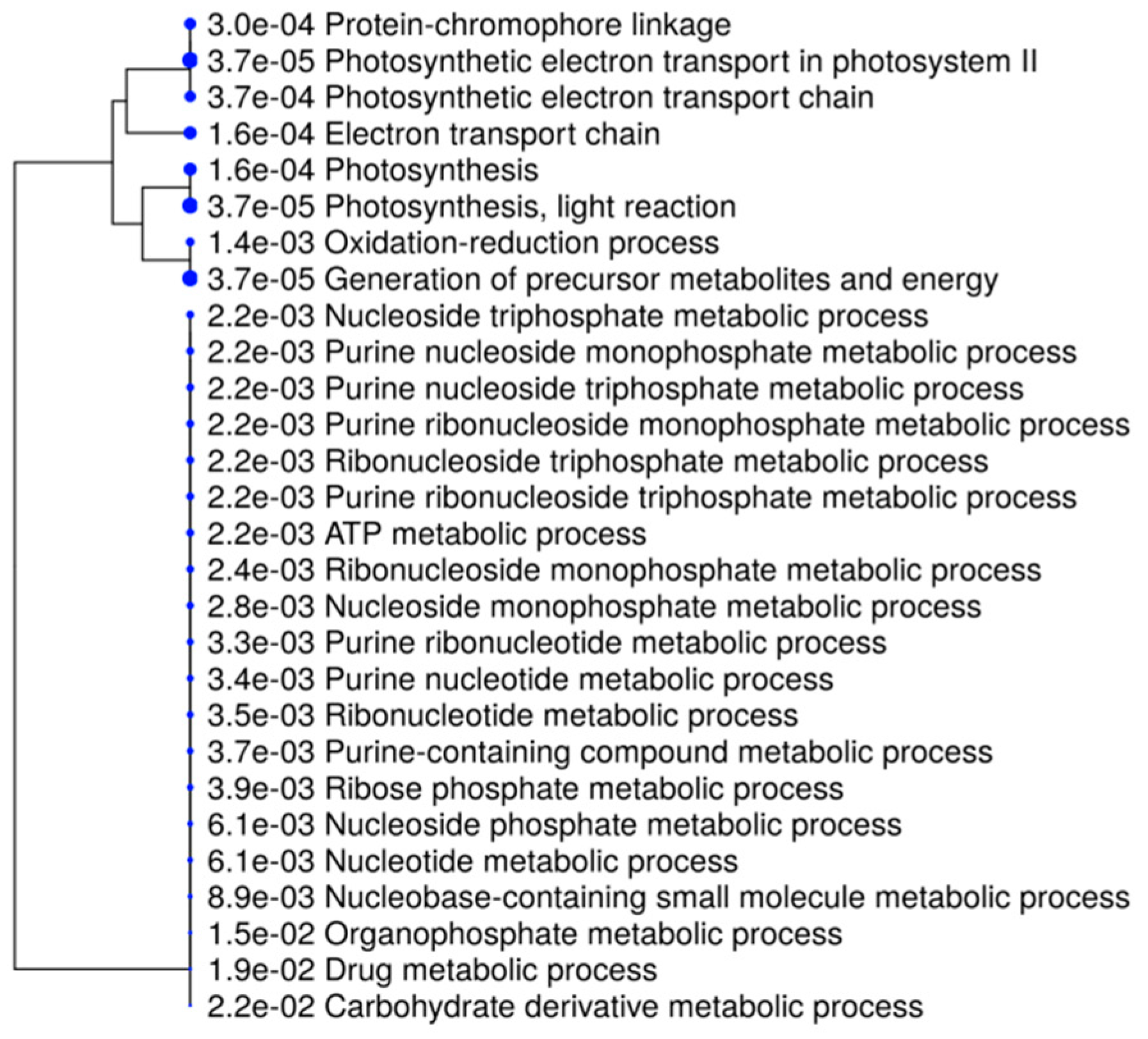 Ijms 21 07393 g007 Ijms 21 07393 g007