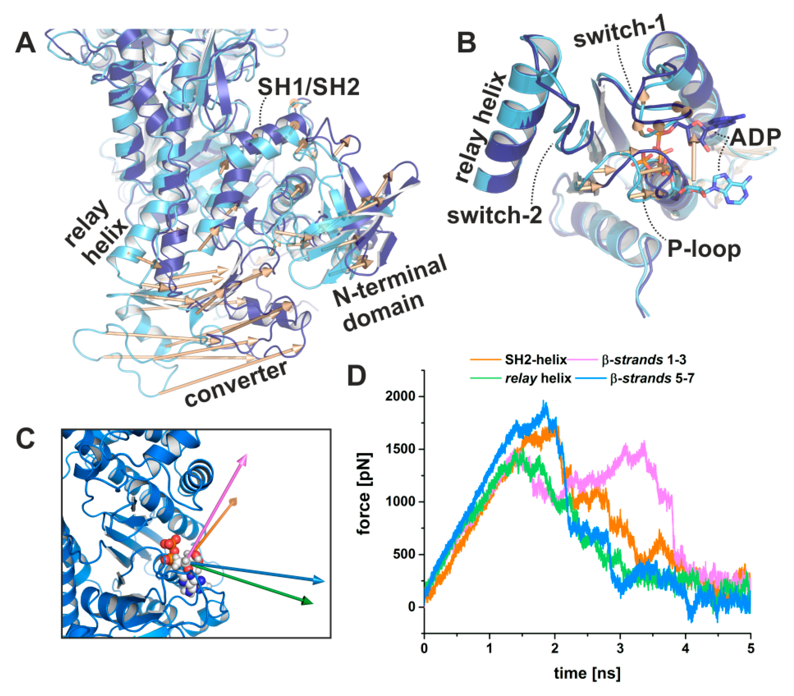 Ijms 21 07417 g007 Ijms 21 07417 g007