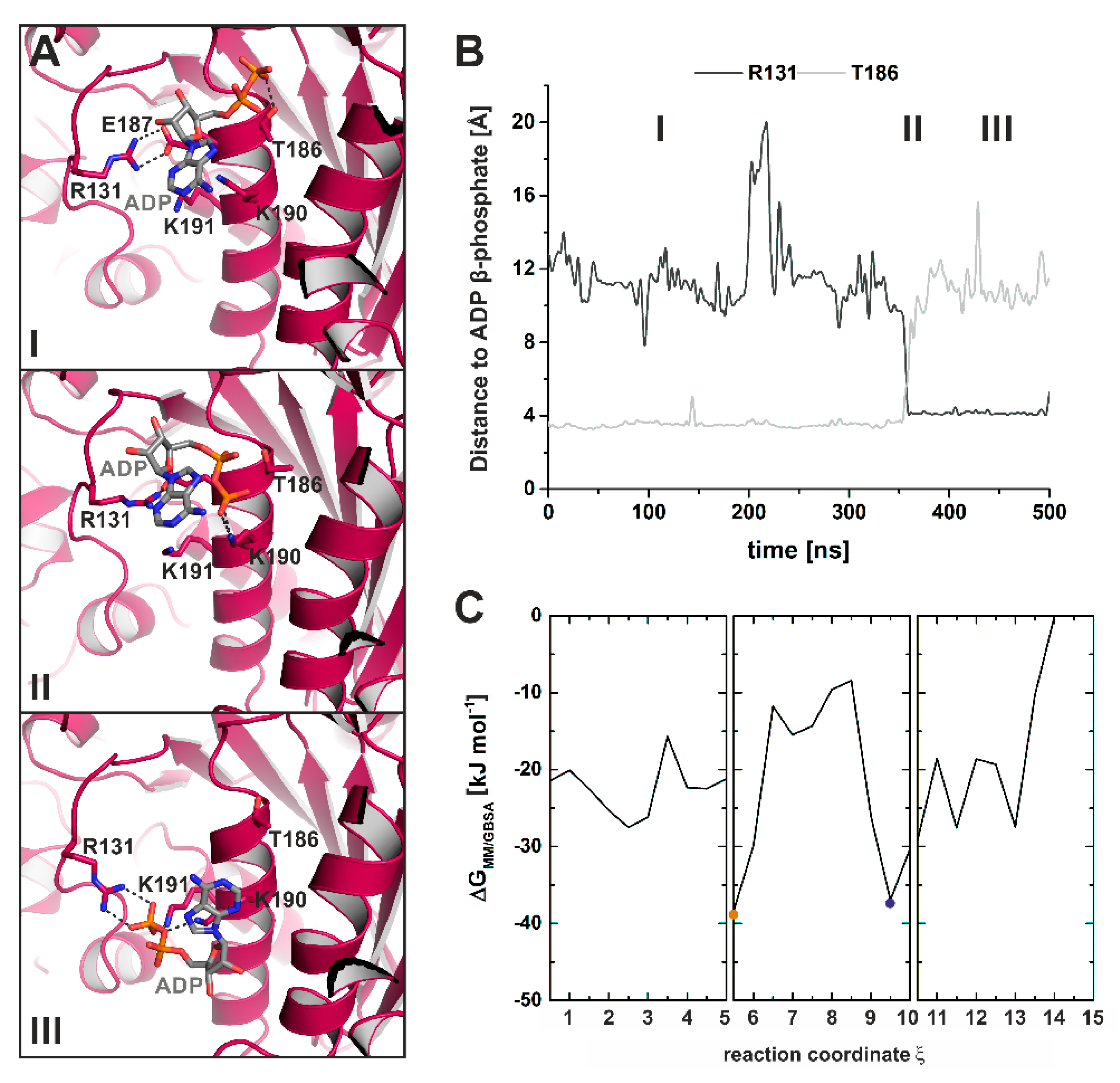 Ijms 21 07417 g008 Ijms 21 07417 g008