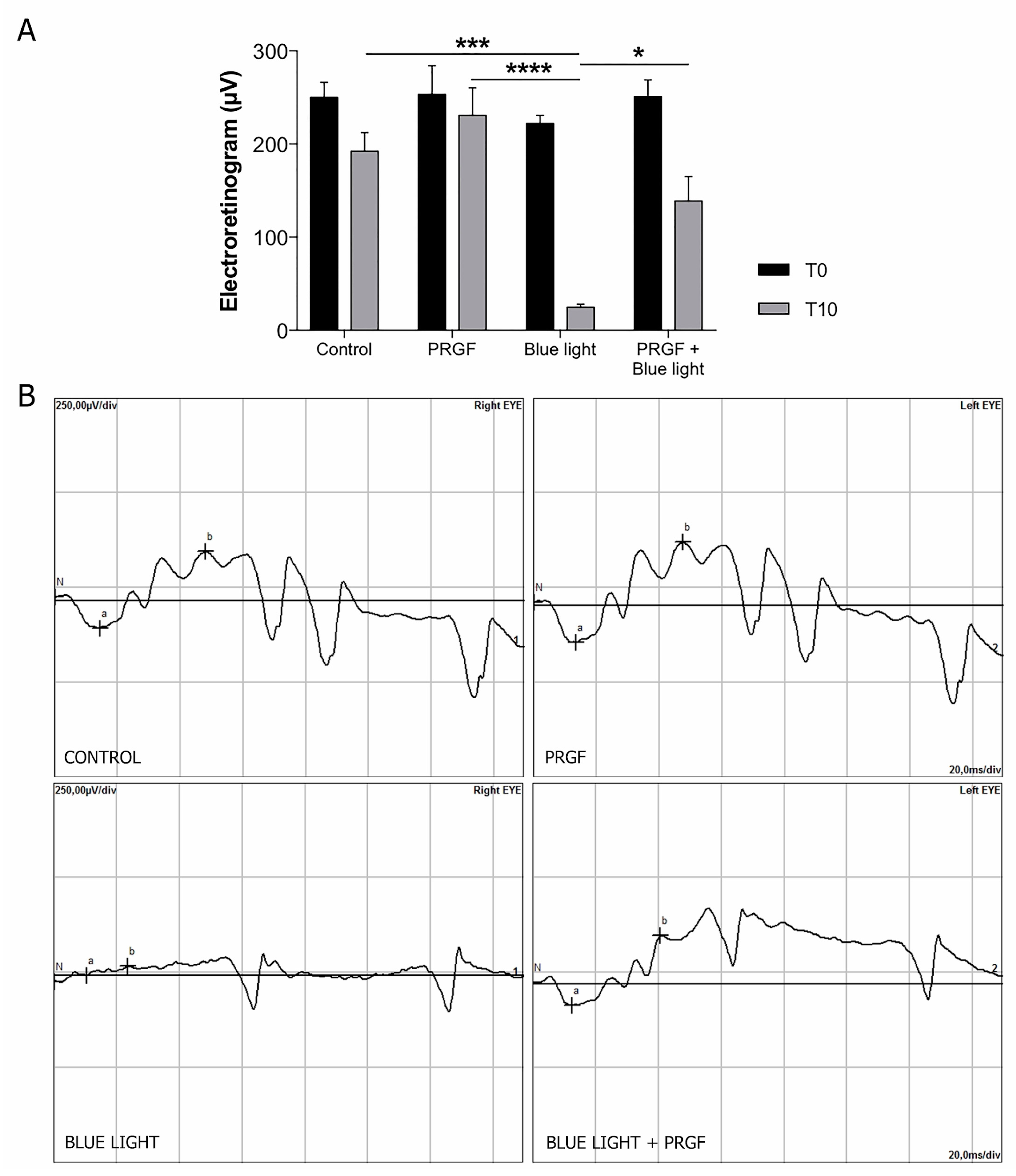 Ijms 21 07442 g001 Ijms 21 07442 g001