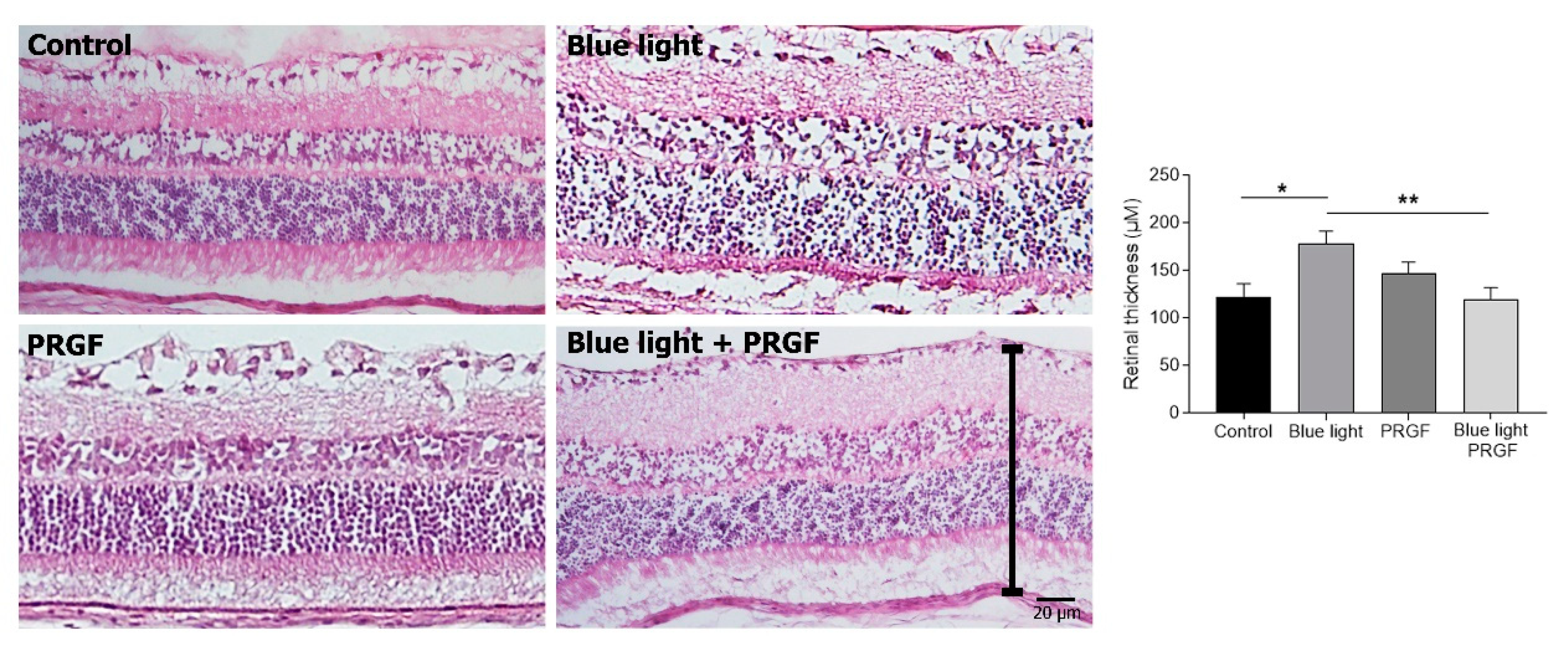 Ijms 21 07442 g003 Ijms 21 07442 g003