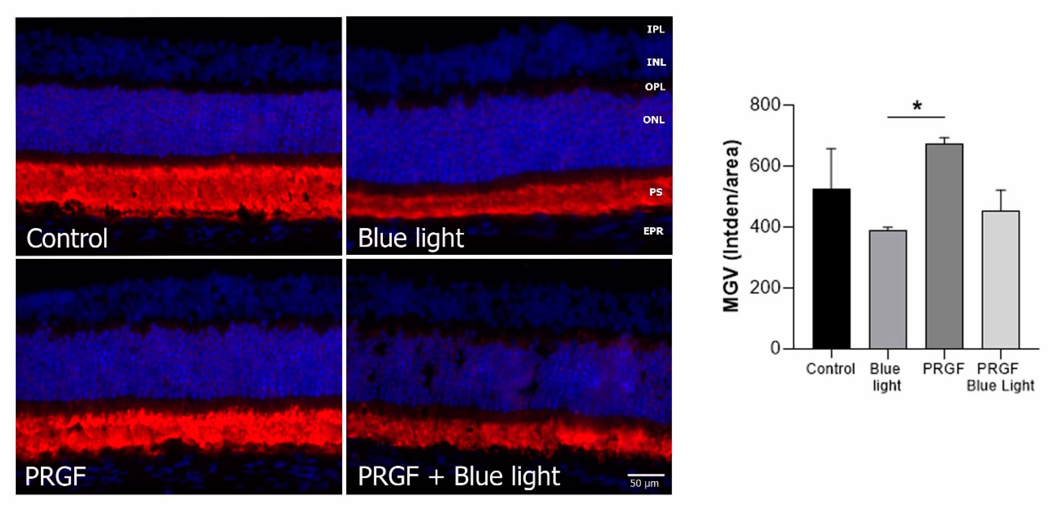 Ijms 21 07442 g006 Ijms 21 07442 g006