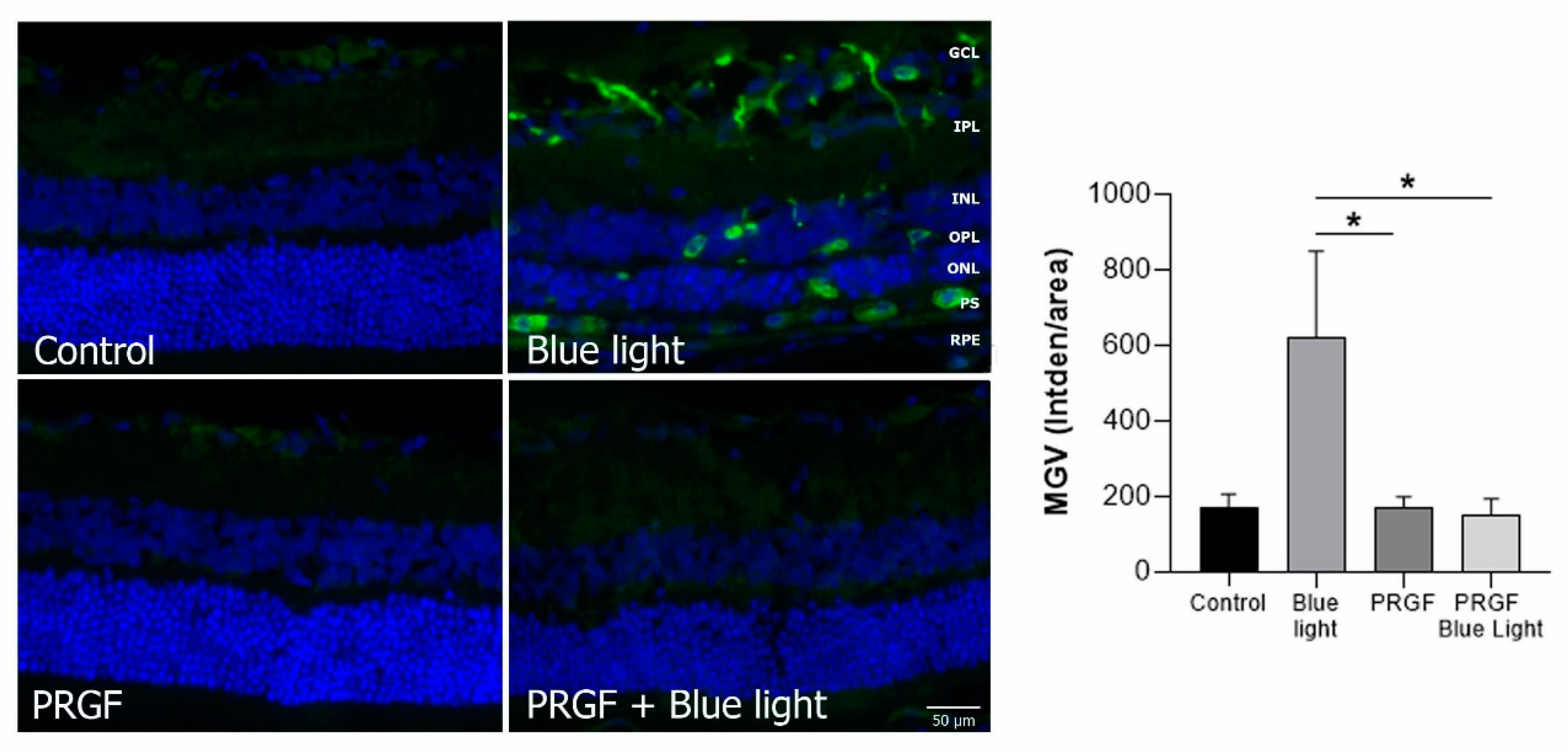 Ijms 21 07442 g007 Ijms 21 07442 g007