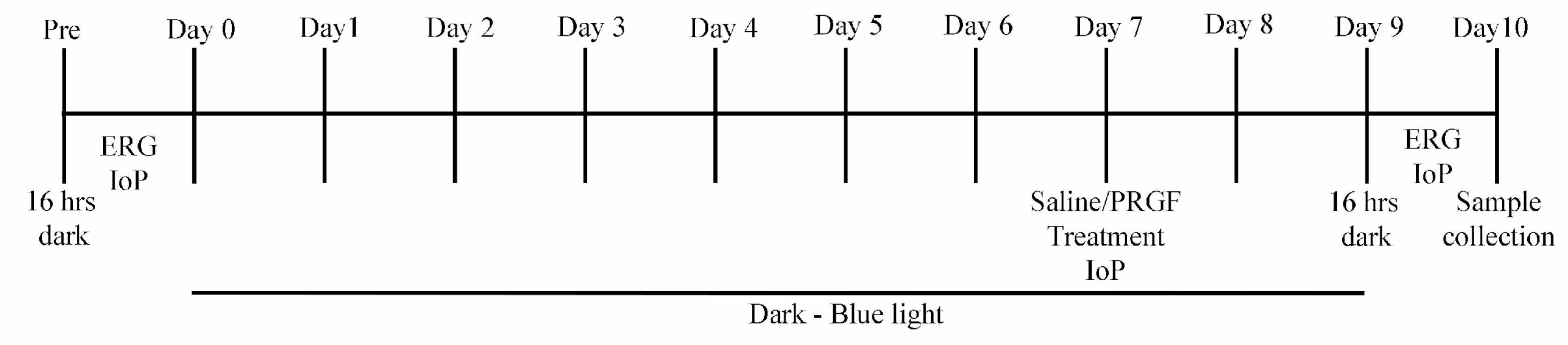 Ijms 21 07442 g009 Ijms 21 07442 g009