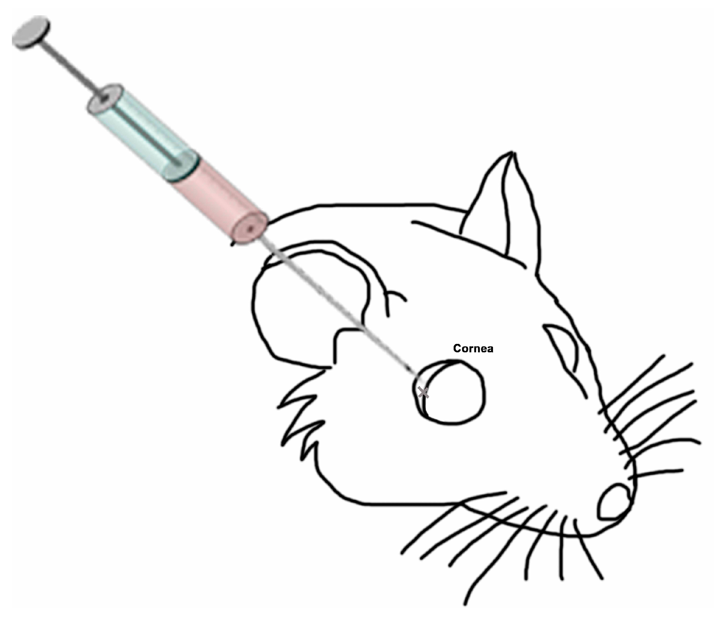 Ijms 21 07442 g010 Ijms 21 07442 g010