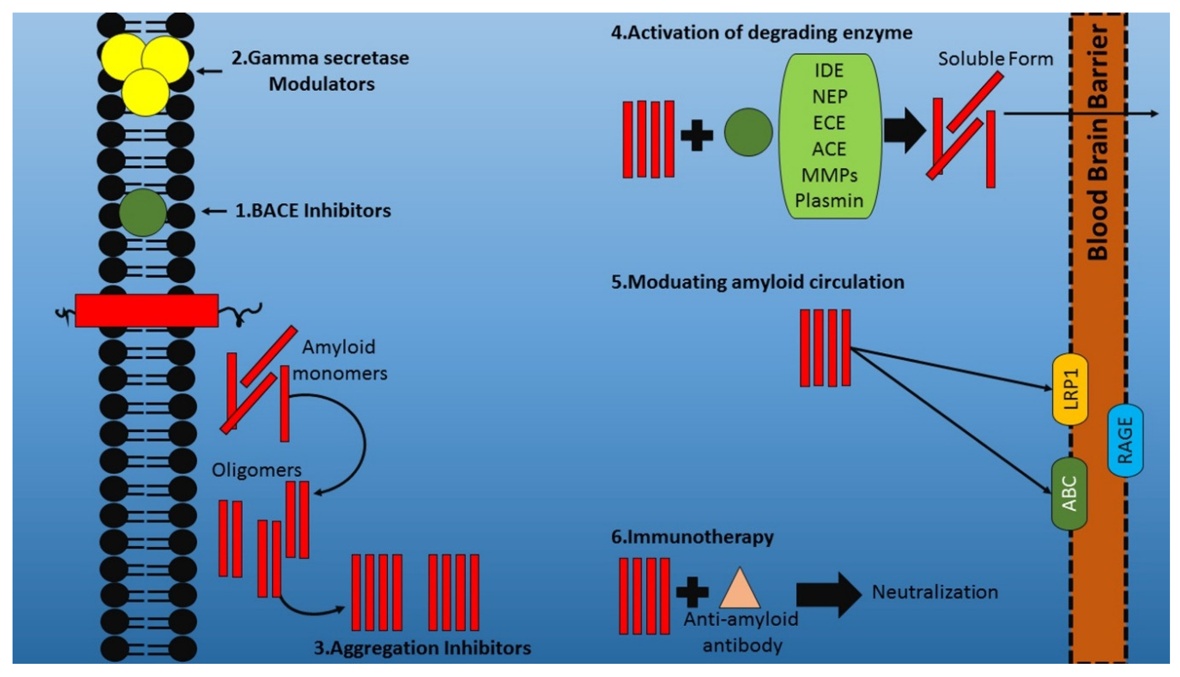 Ijms Free Full Text Exploring The Potential Of Therapeutic Agents Targeted Towards Mitigating The Events Associated With Amyloid B Cascade In Alzheimer S Disease Html