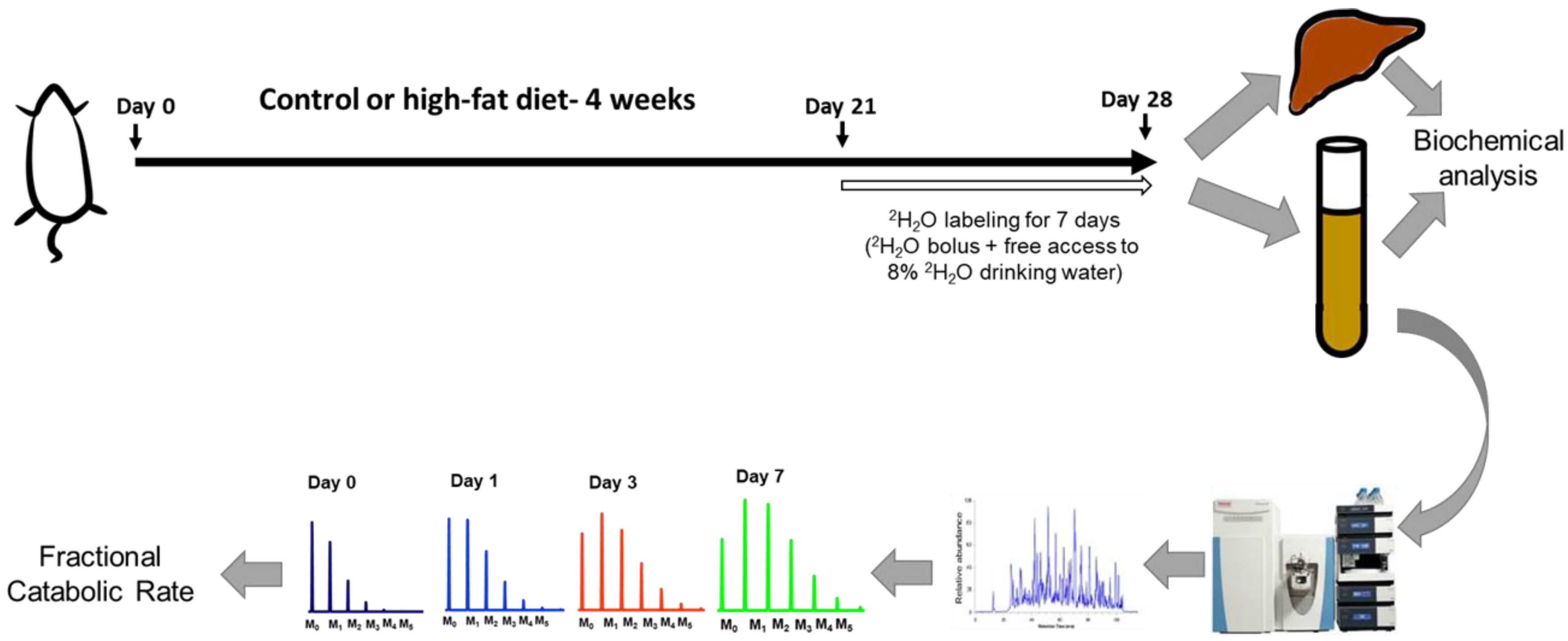 Ijms 21 07472 g001 Ijms 21 07472 g001