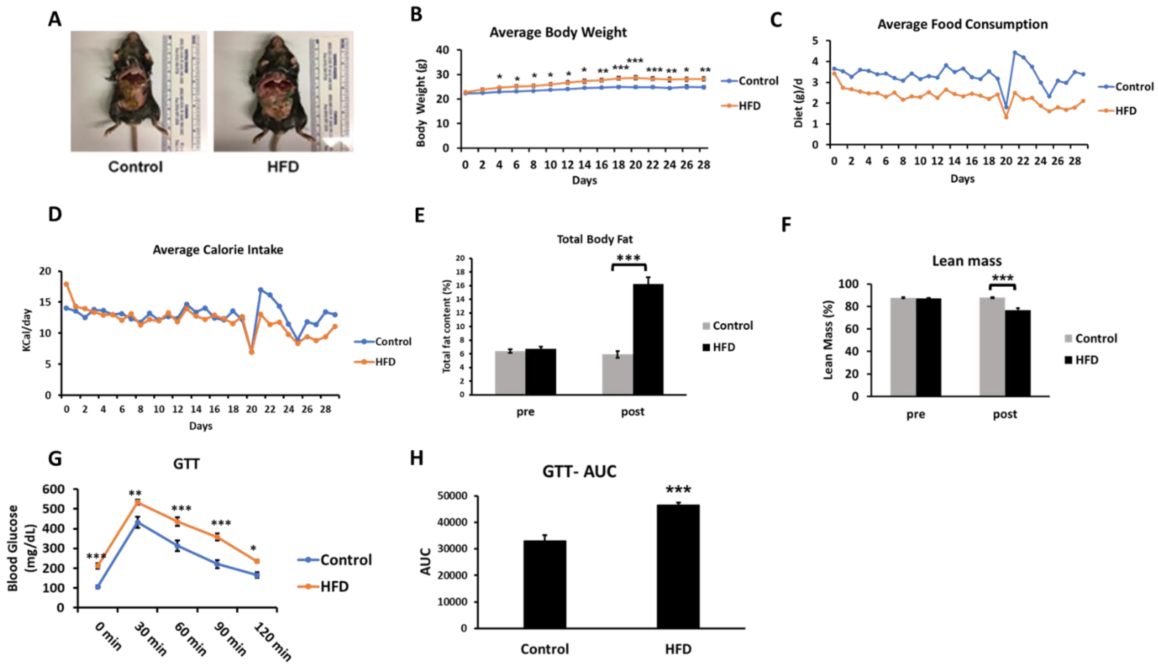 Ijms 21 07472 g002 Ijms 21 07472 g002