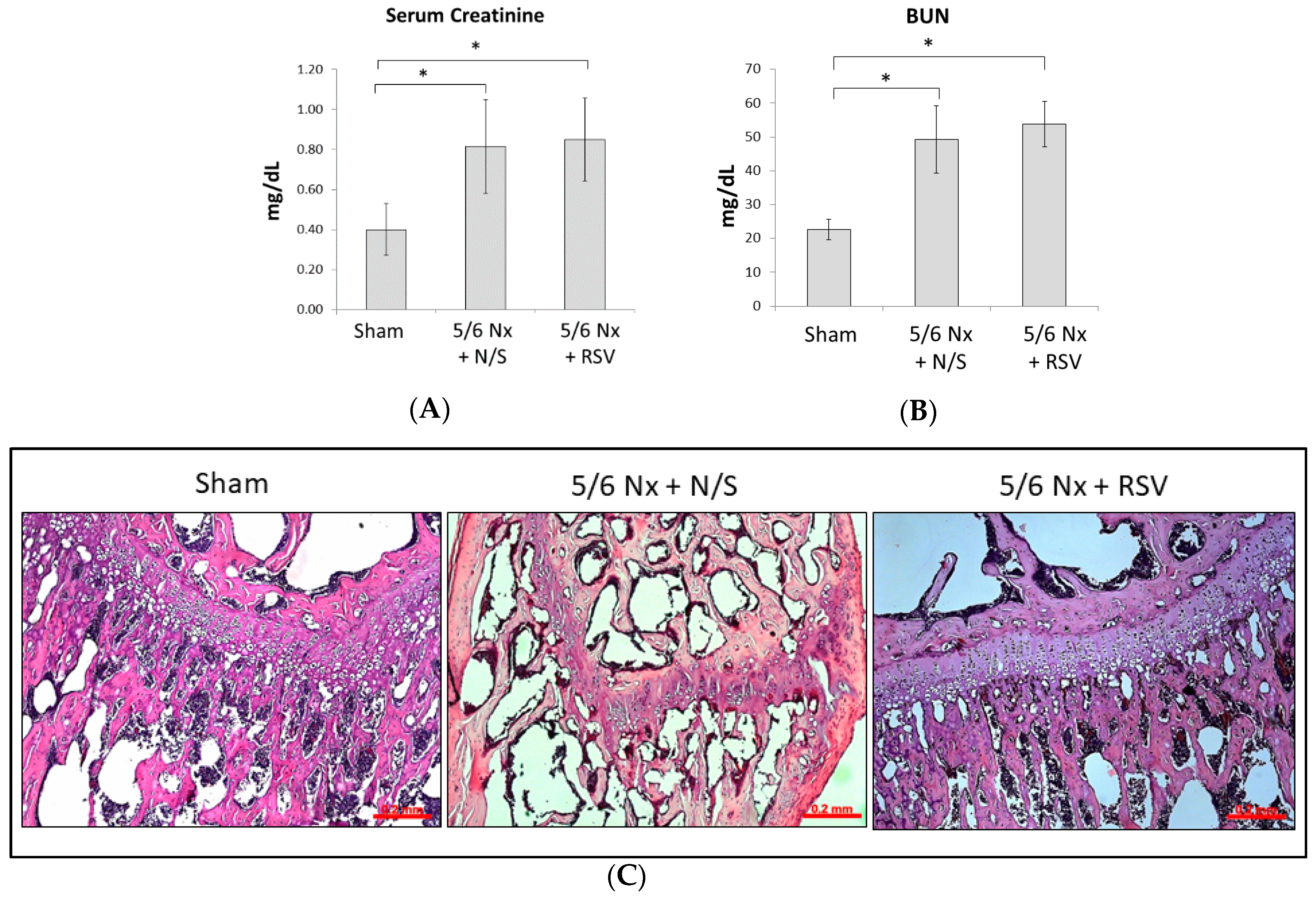 Ijms 21 07483 g001a Ijms 21 07483 g001a