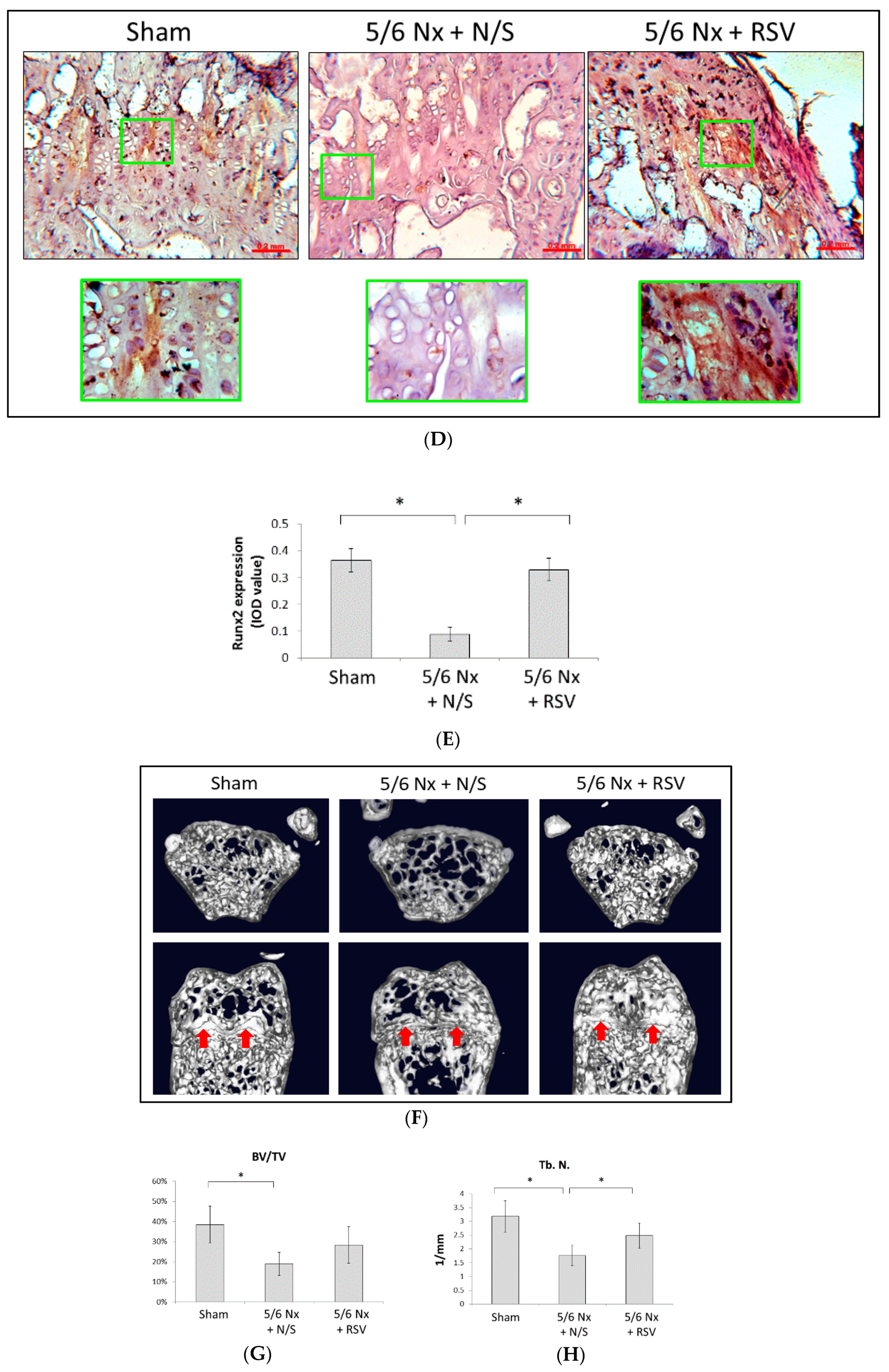 Ijms 21 07483 g001b Ijms 21 07483 g001b