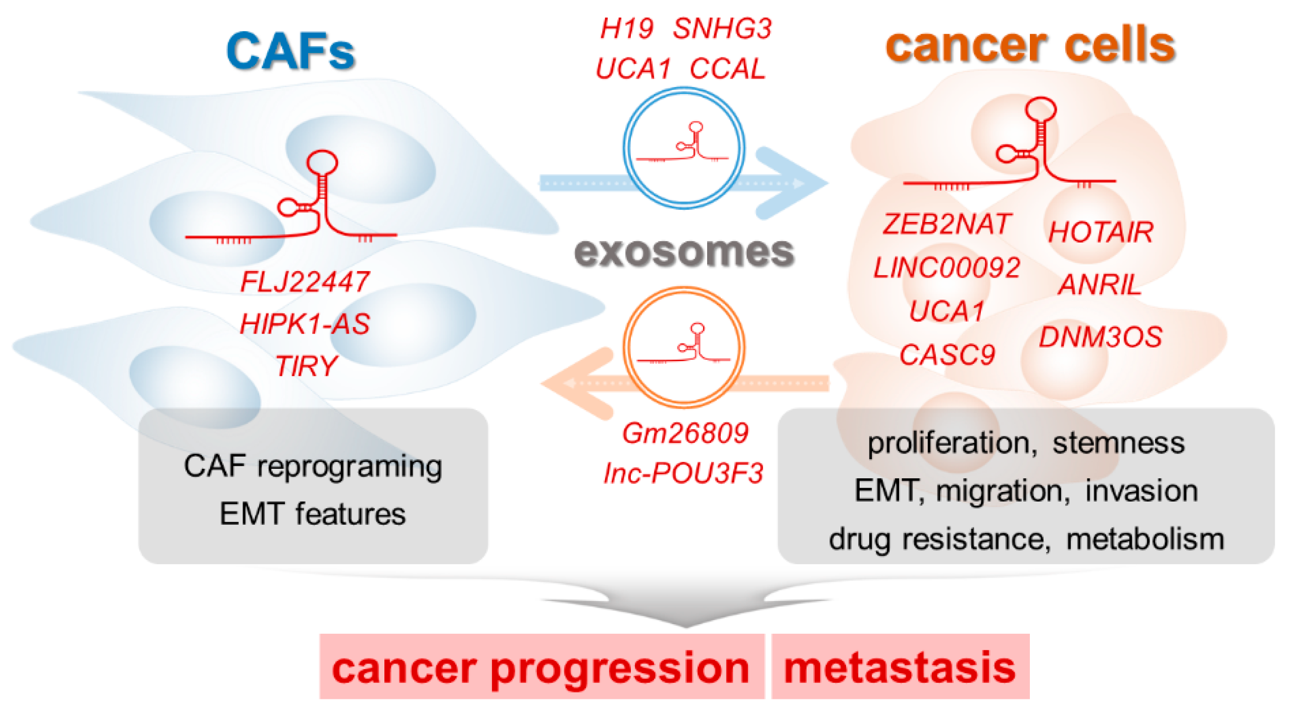 Ijms 21 07484 g002 Ijms 21 07484 g002