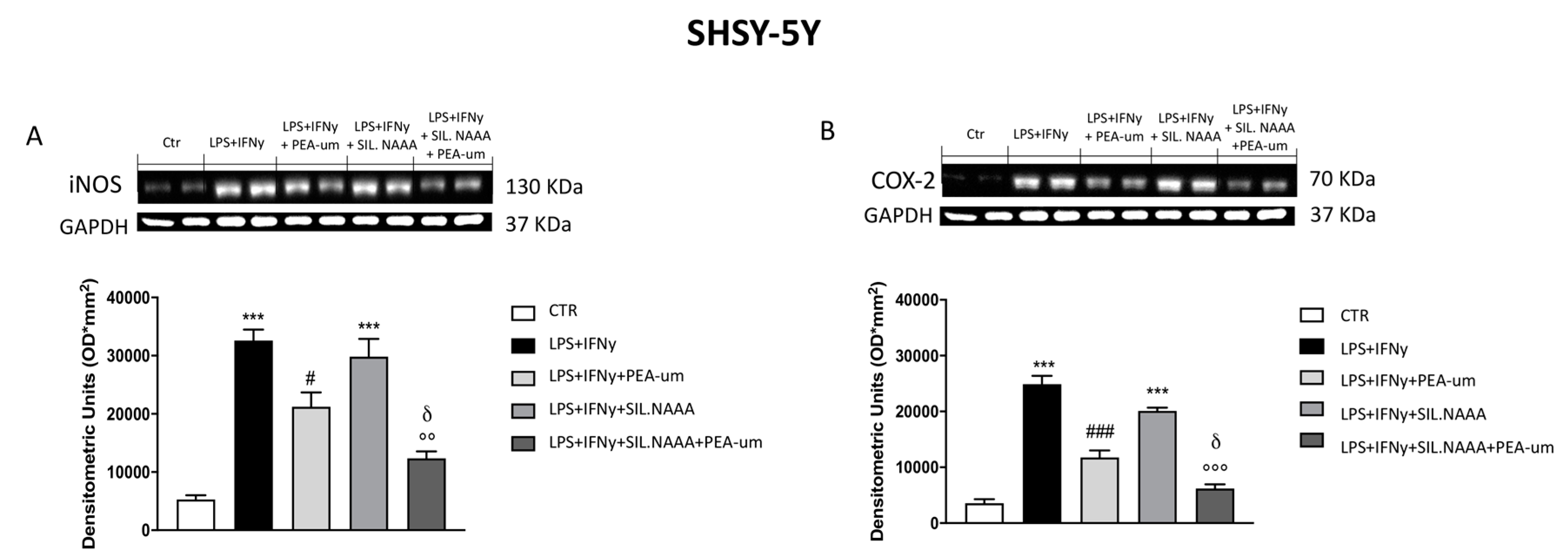 Ijms 21 07486 g005 Ijms 21 07486 g005