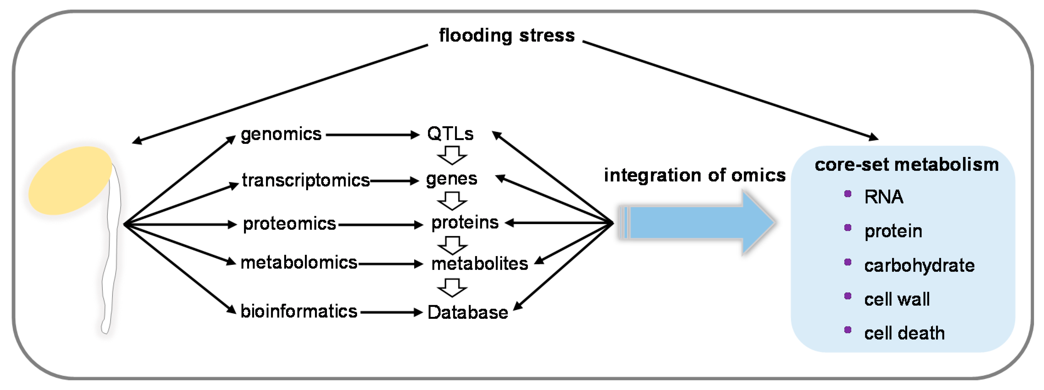 Ijms 21 07497 g002 Ijms 21 07497 g002