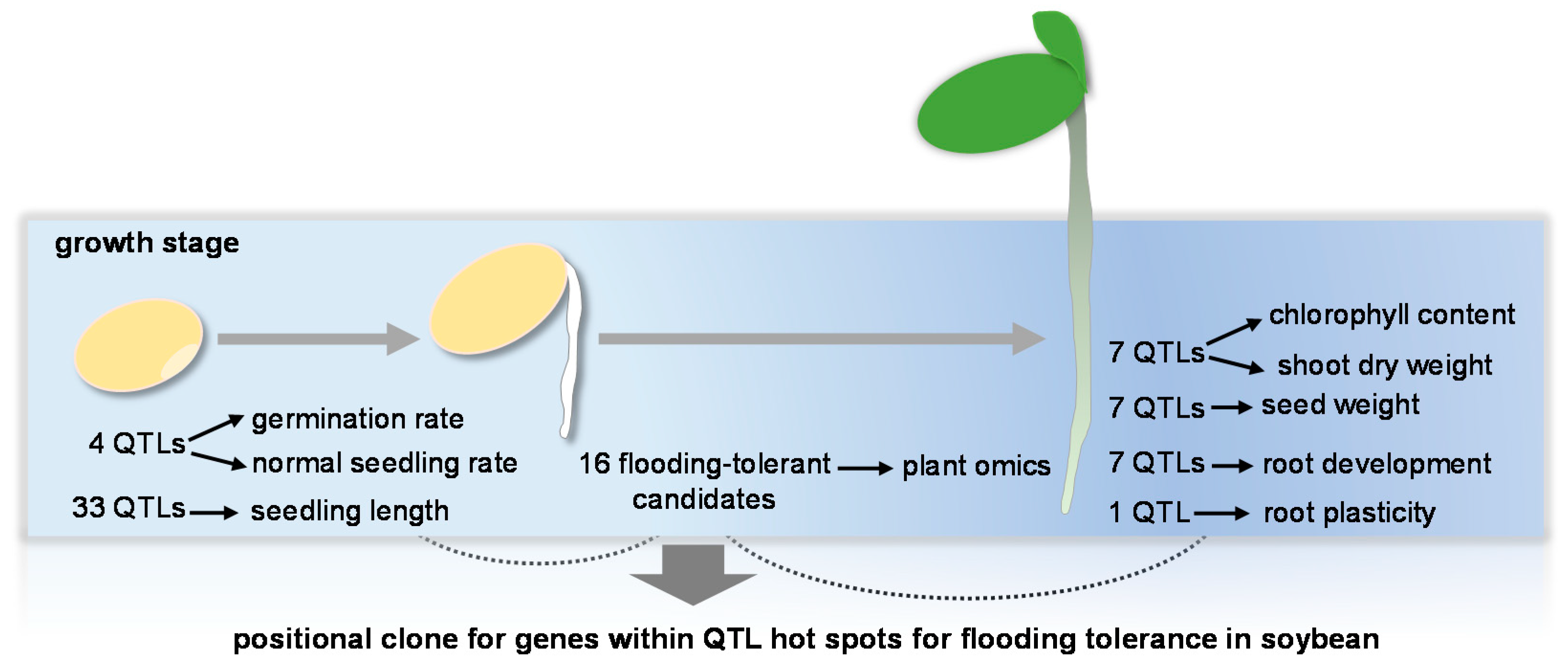 Ijms 21 07497 g003 Ijms 21 07497 g003