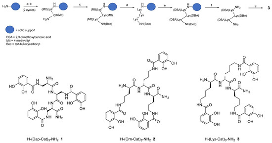 IJMS | Free Full-Text | Solid-Phase Synthesis and In-Silico Analysis of  Iron-Binding Catecholato Chelators | HTML