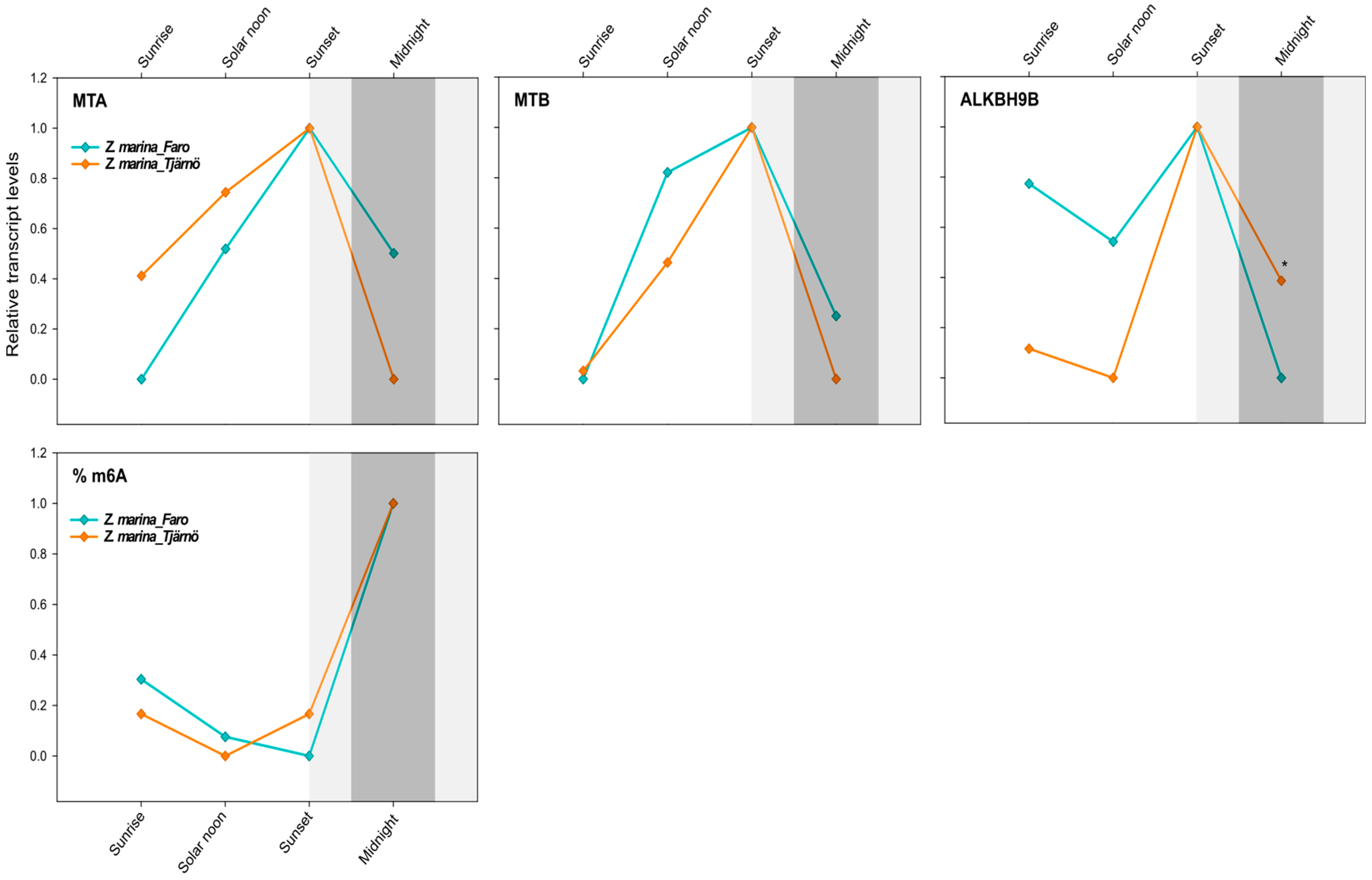 IJMS  Free Full-Text  m6A RNA Methylation in Marine Plants 