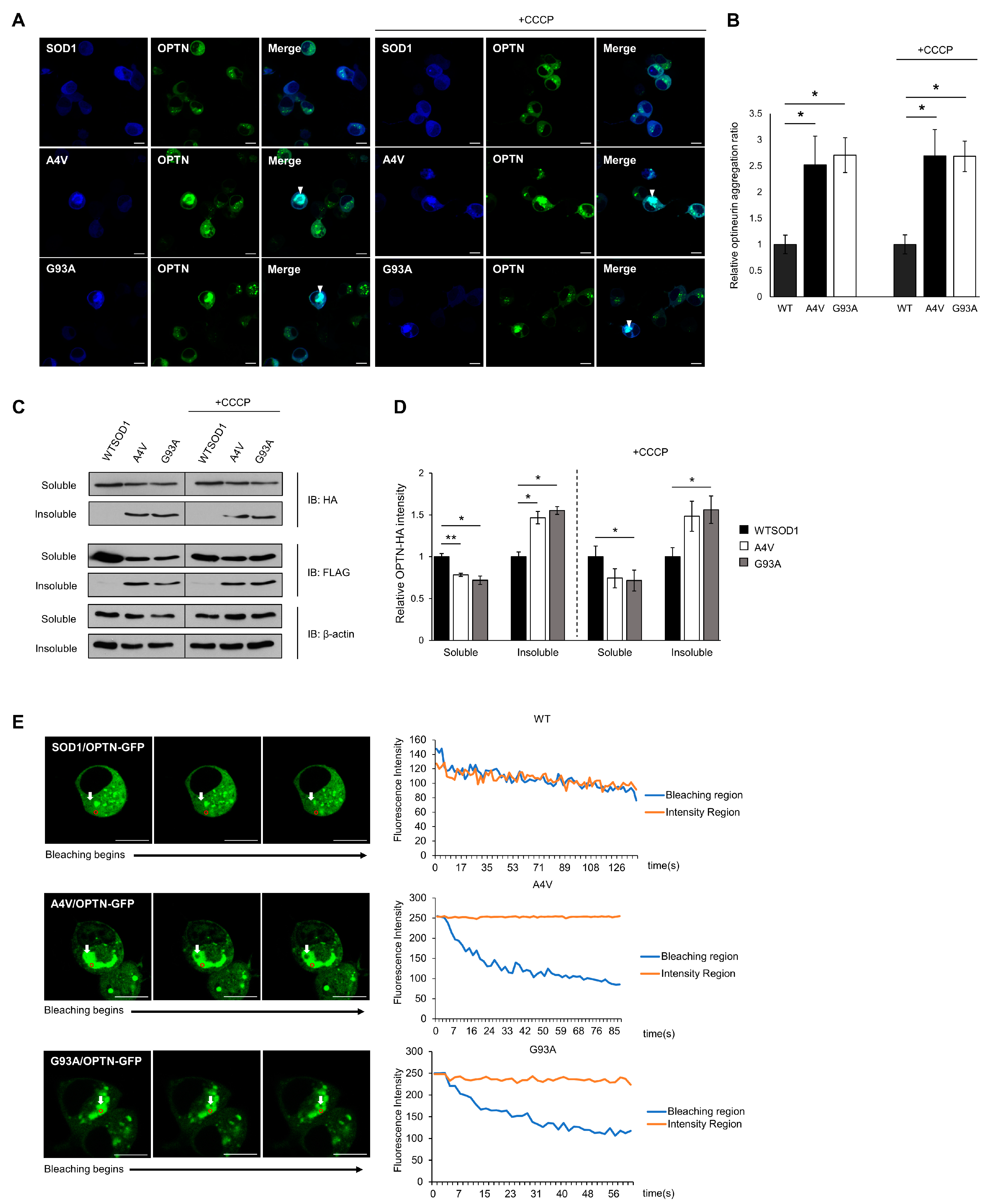 Ijms 21 07525 g002 Ijms 21 07525 g002