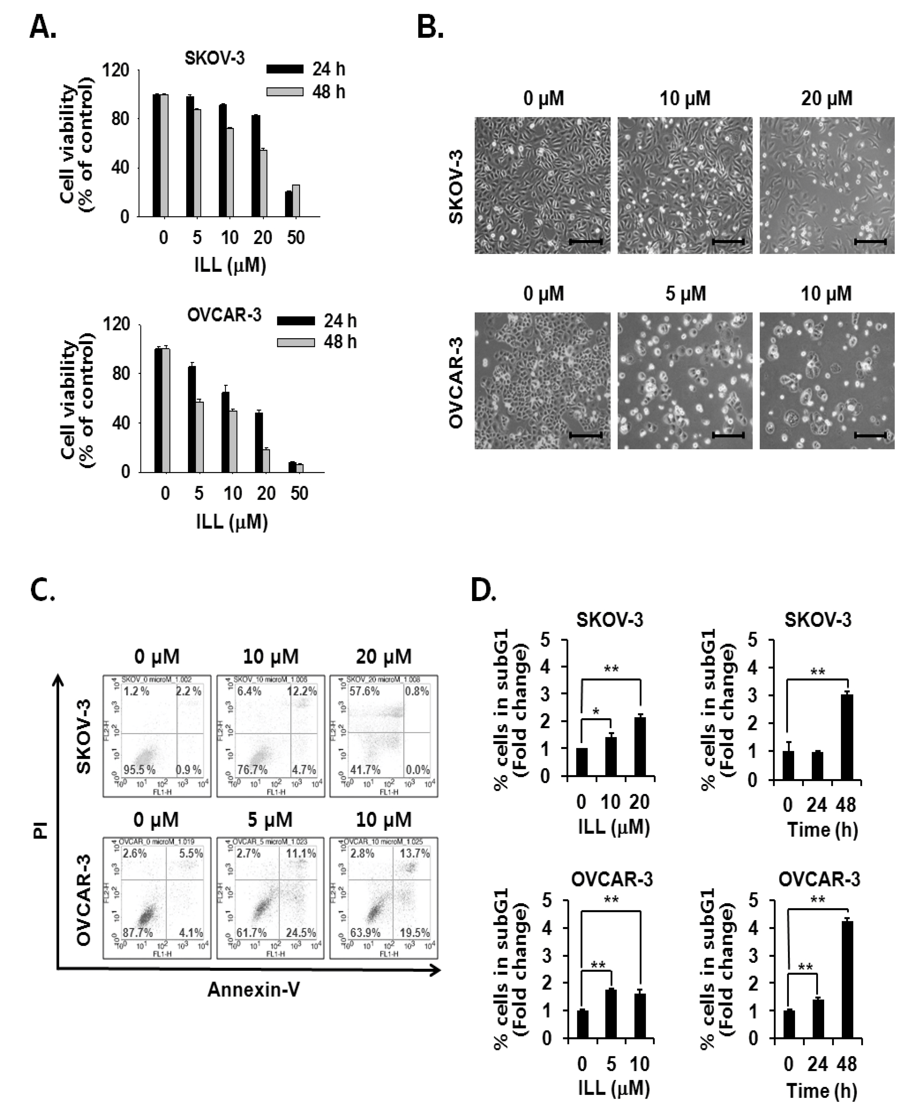 Ijms 21 07530 g001 Ijms 21 07530 g001