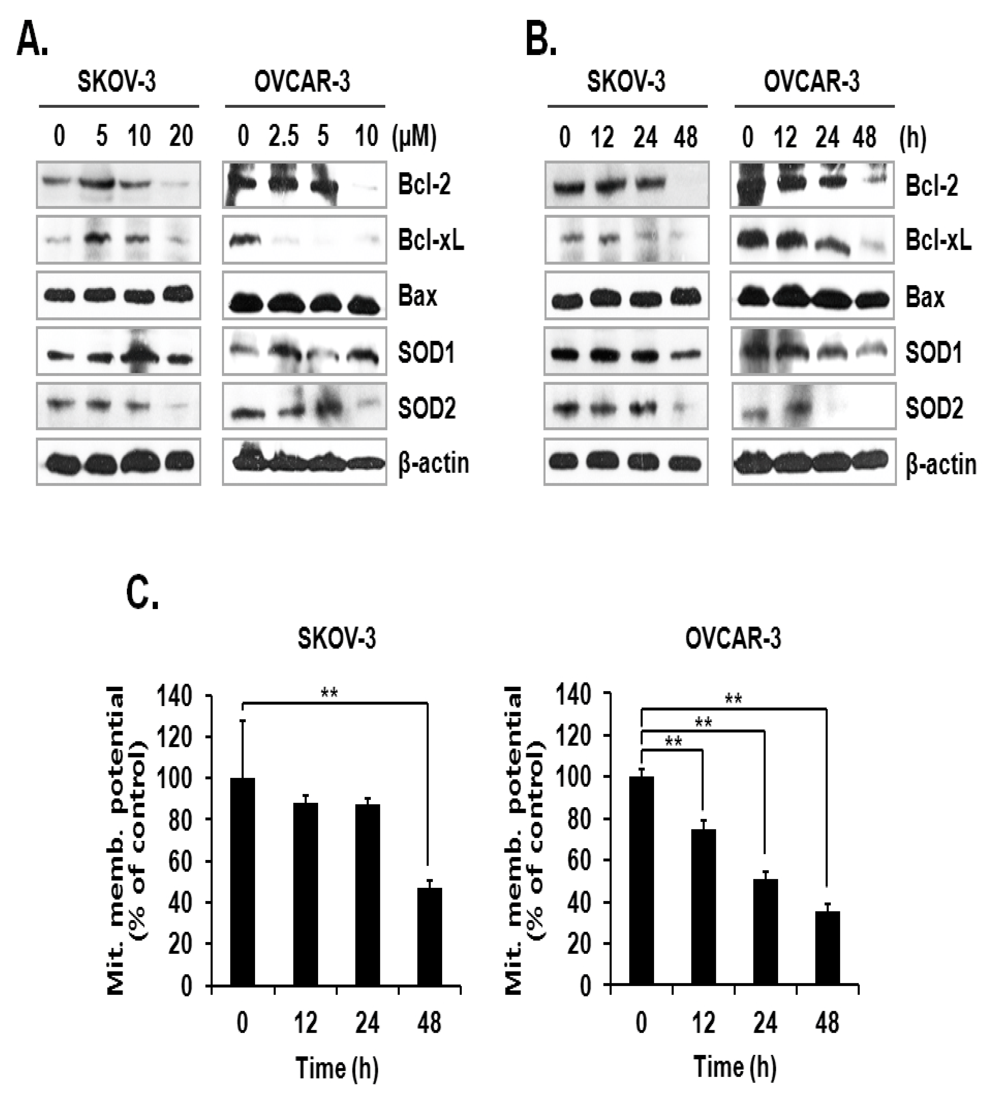 Ijms 21 07530 g003 Ijms 21 07530 g003