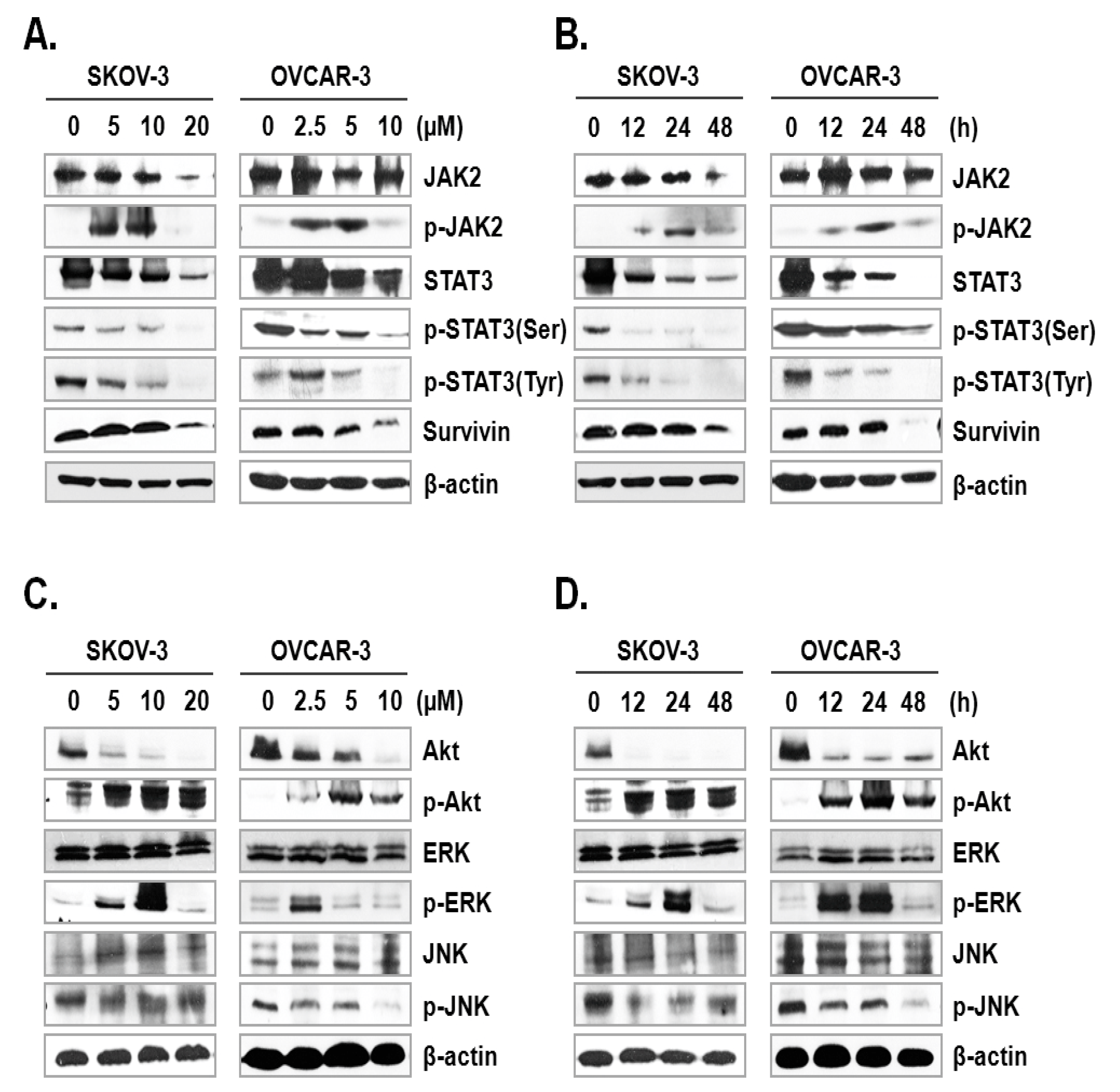 Ijms 21 07530 g004 Ijms 21 07530 g004