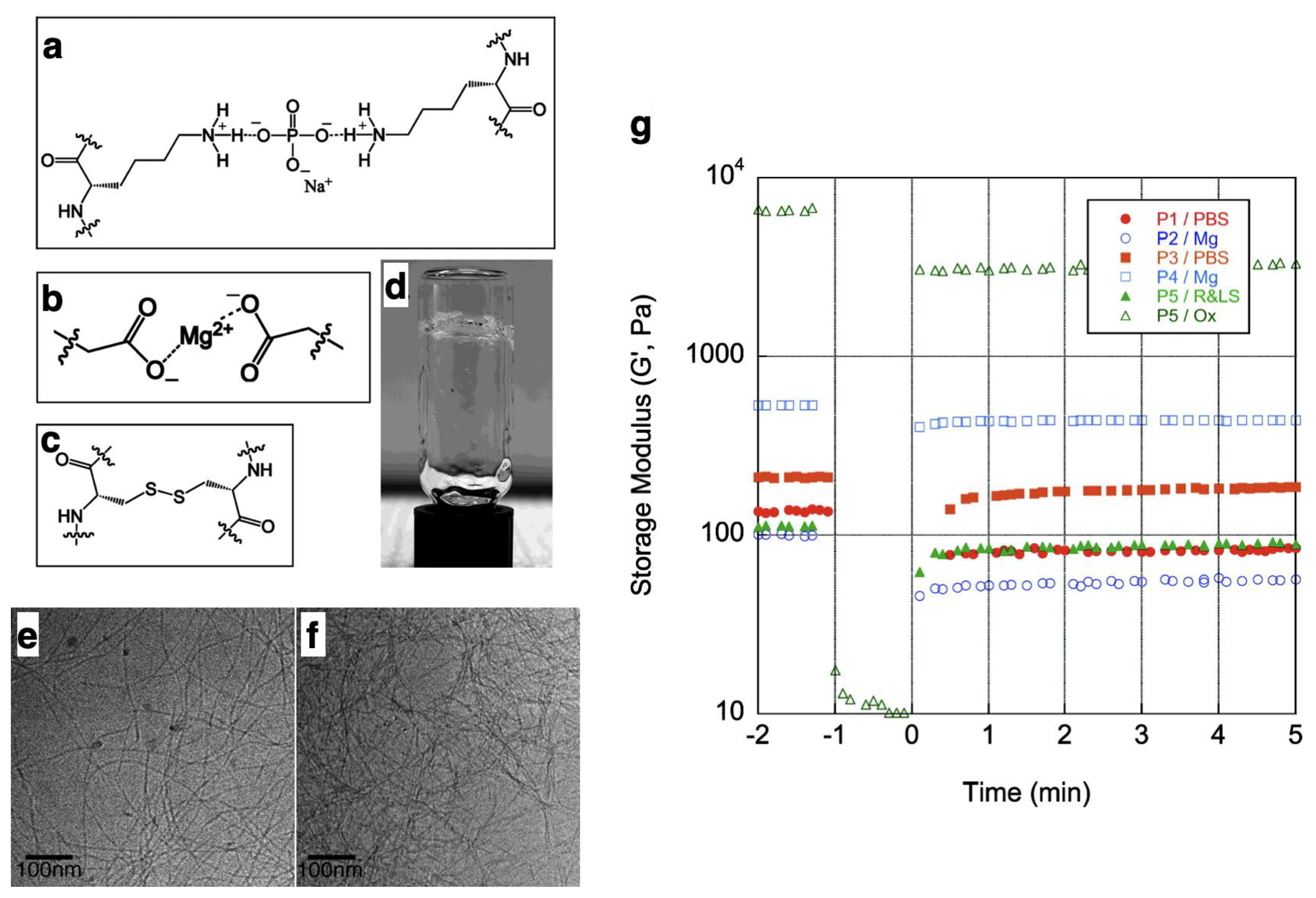 Ijms 21 07577 g003 Ijms 21 07577 g003