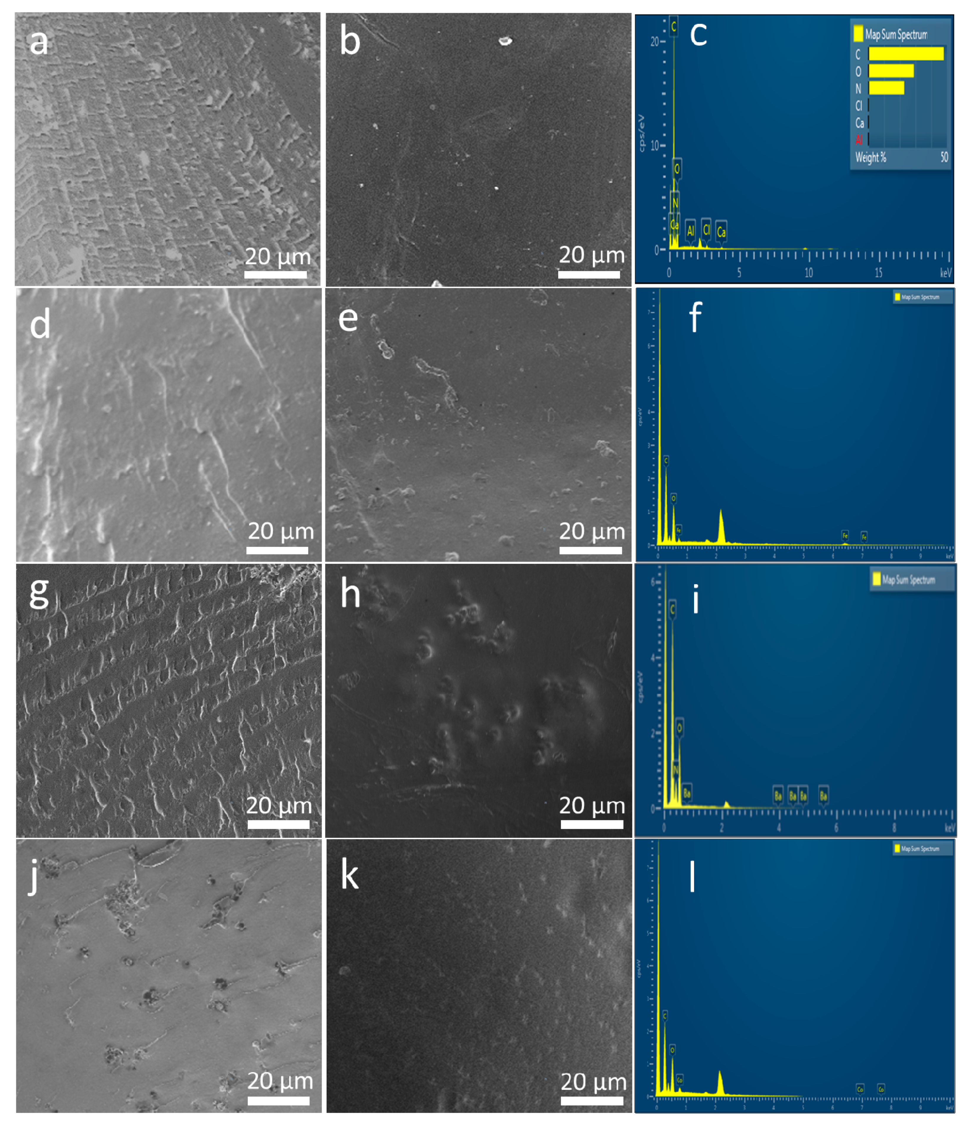 Ijms 21 07583 g003 Ijms 21 07583 g003