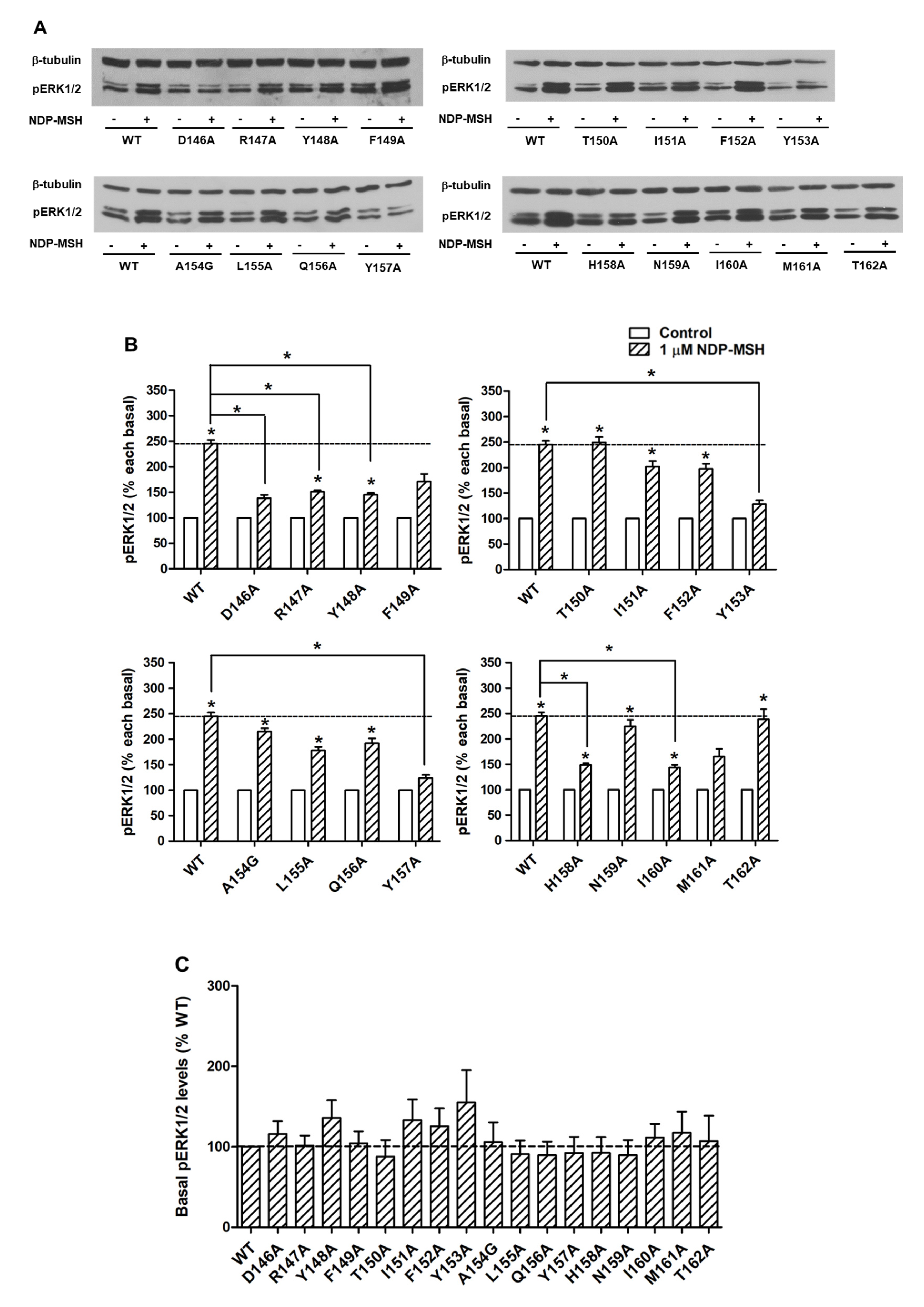 Ijms 21 07611 g006 Ijms 21 07611 g006