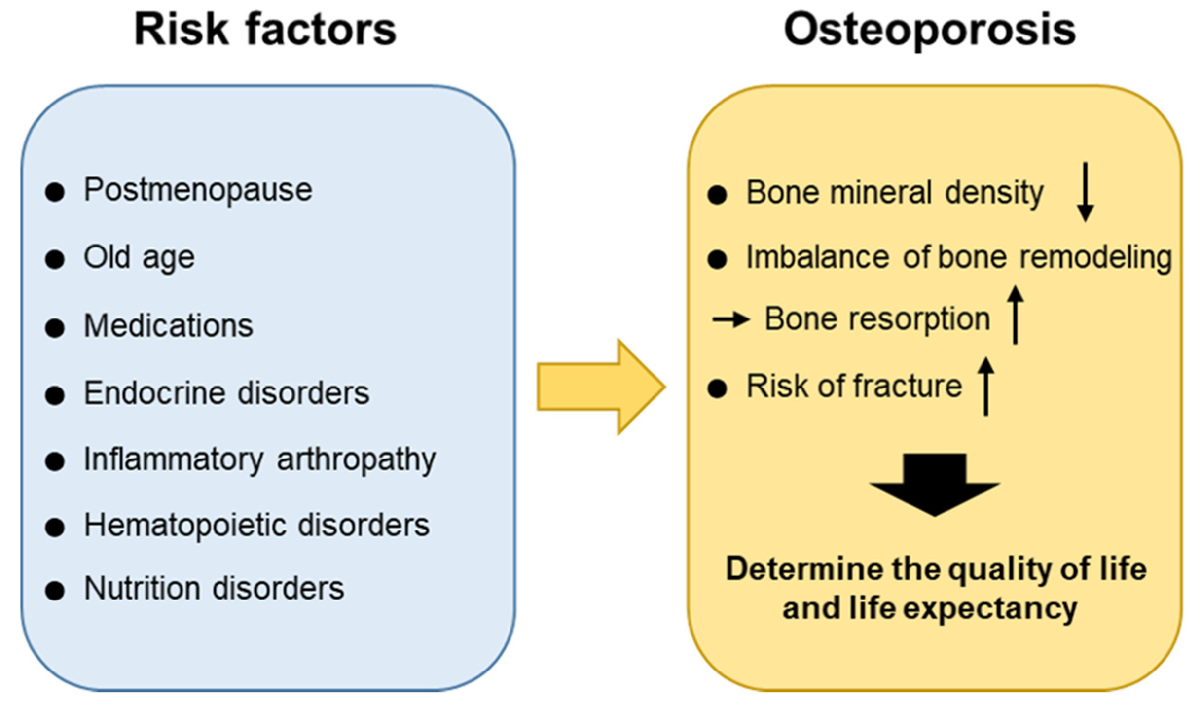 Osteoporosis risk factors