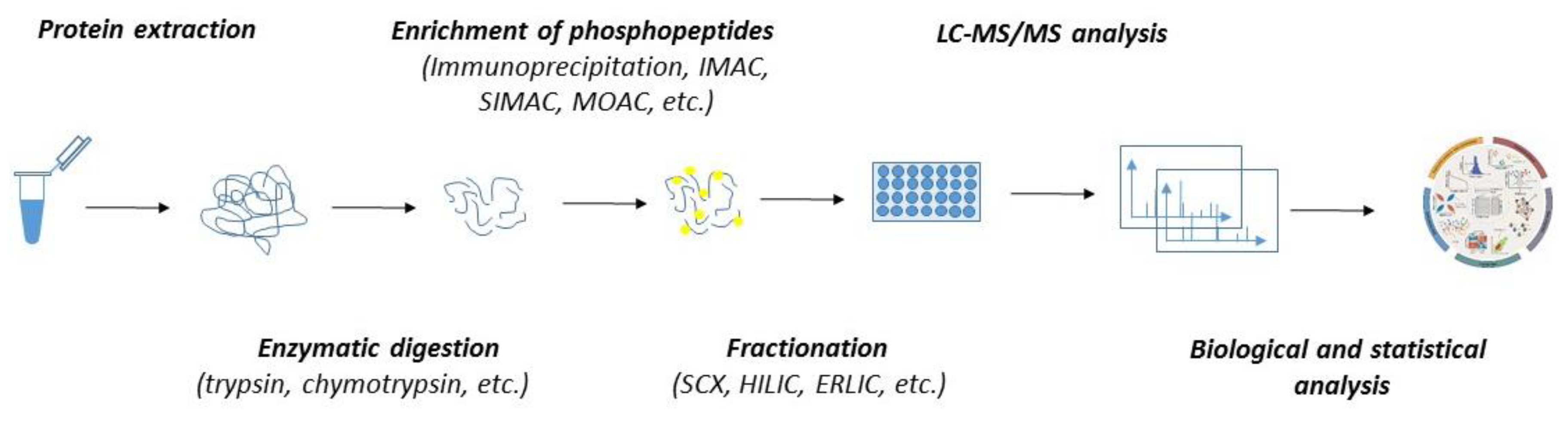 Ijms 21 07637 g002 Ijms 21 07637 g002