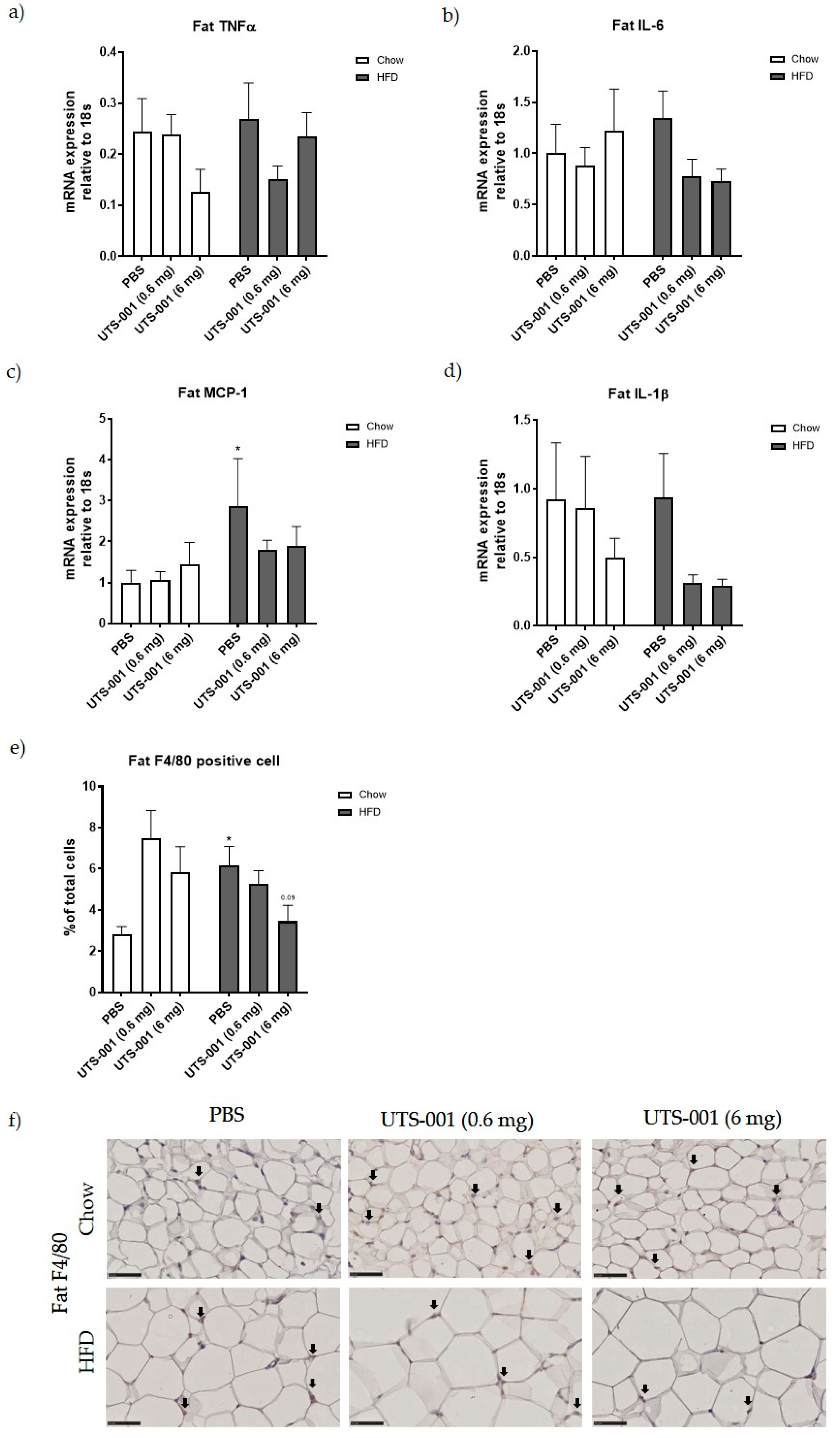 Ijms 21 07640 g003 Ijms 21 07640 g003