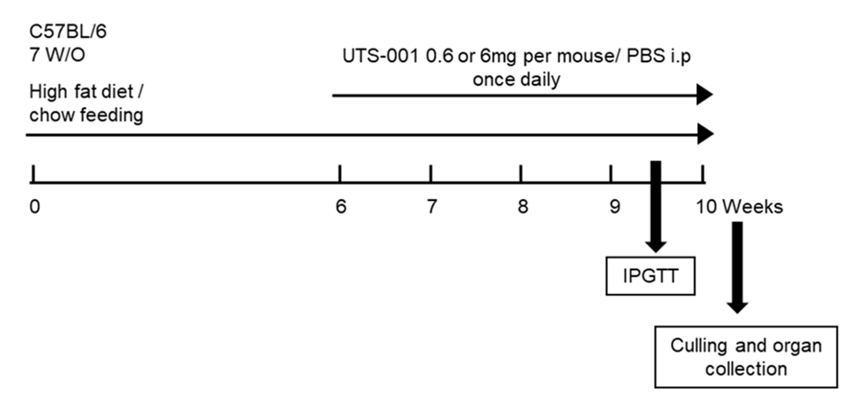 Ijms 21 07640 g008 Ijms 21 07640 g008