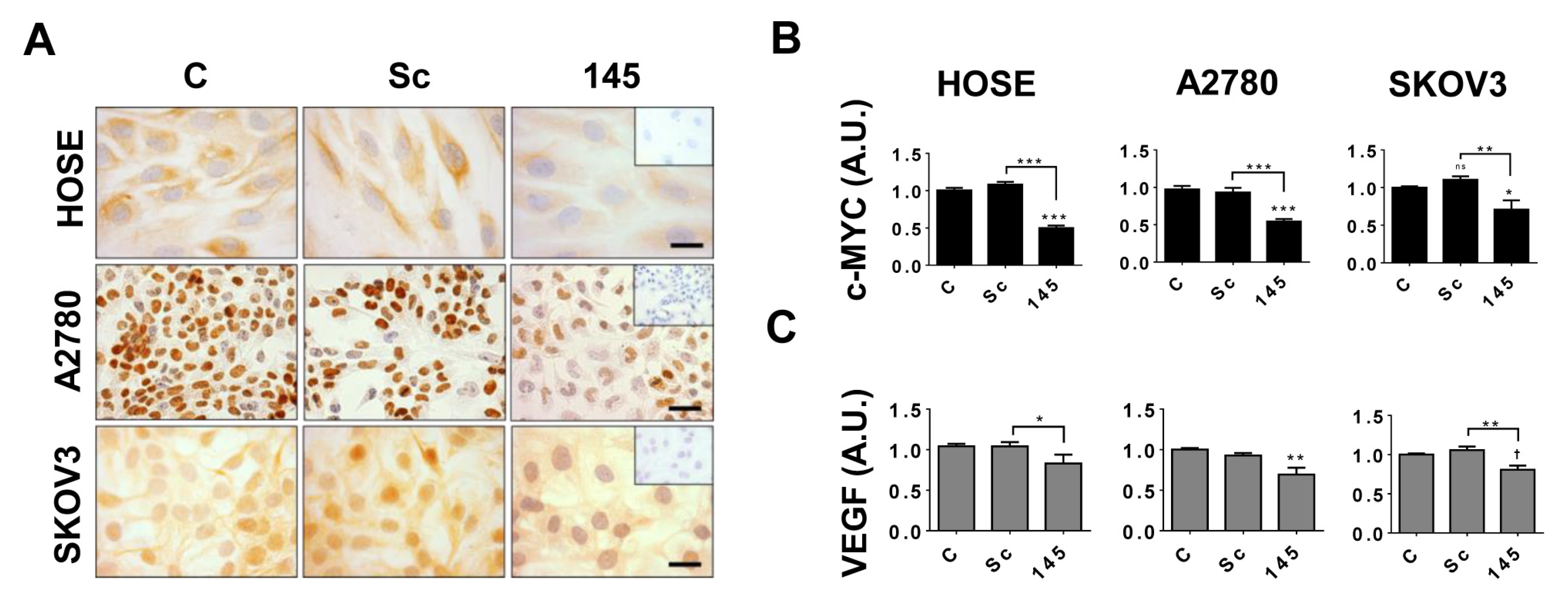 Ijms 21 07657 g005 Ijms 21 07657 g005