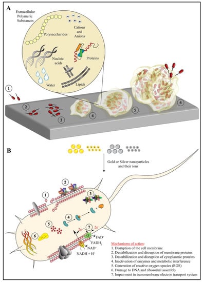 bacterial pathogenesis a molecular approach pdf