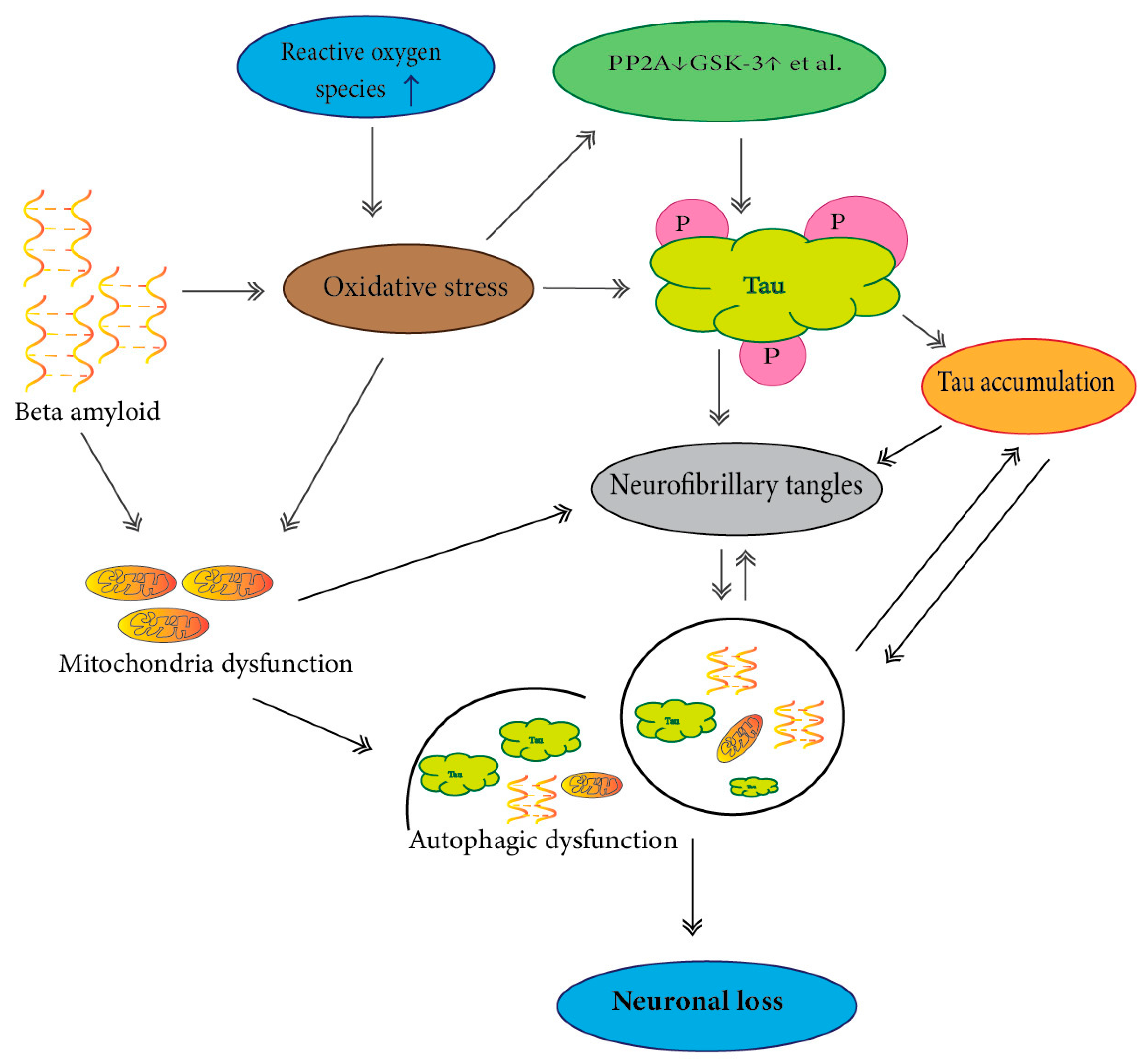 Ijms 21 07660 g002 Ijms 21 07660 g002