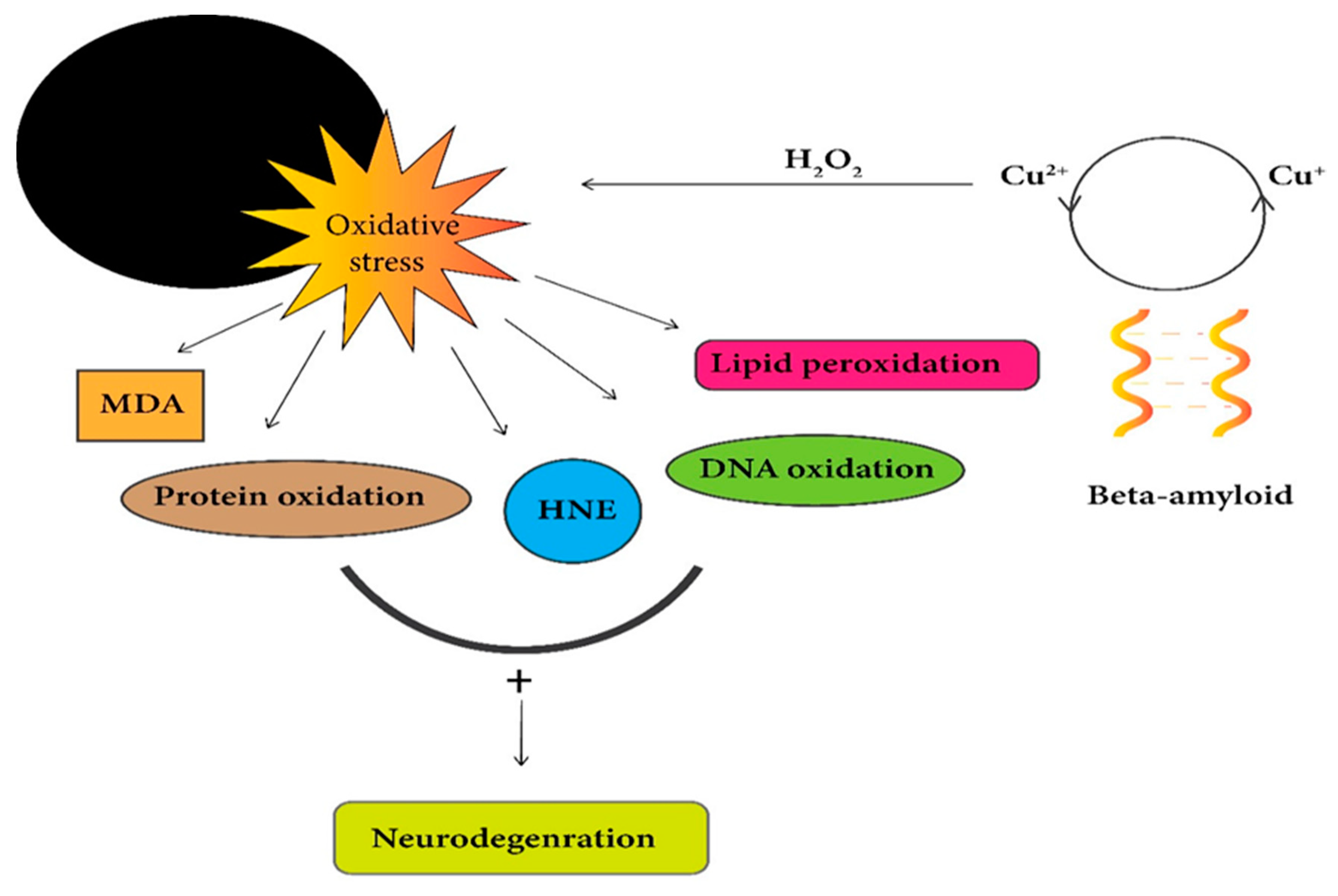 Ijms 21 07660 g003 Ijms 21 07660 g003