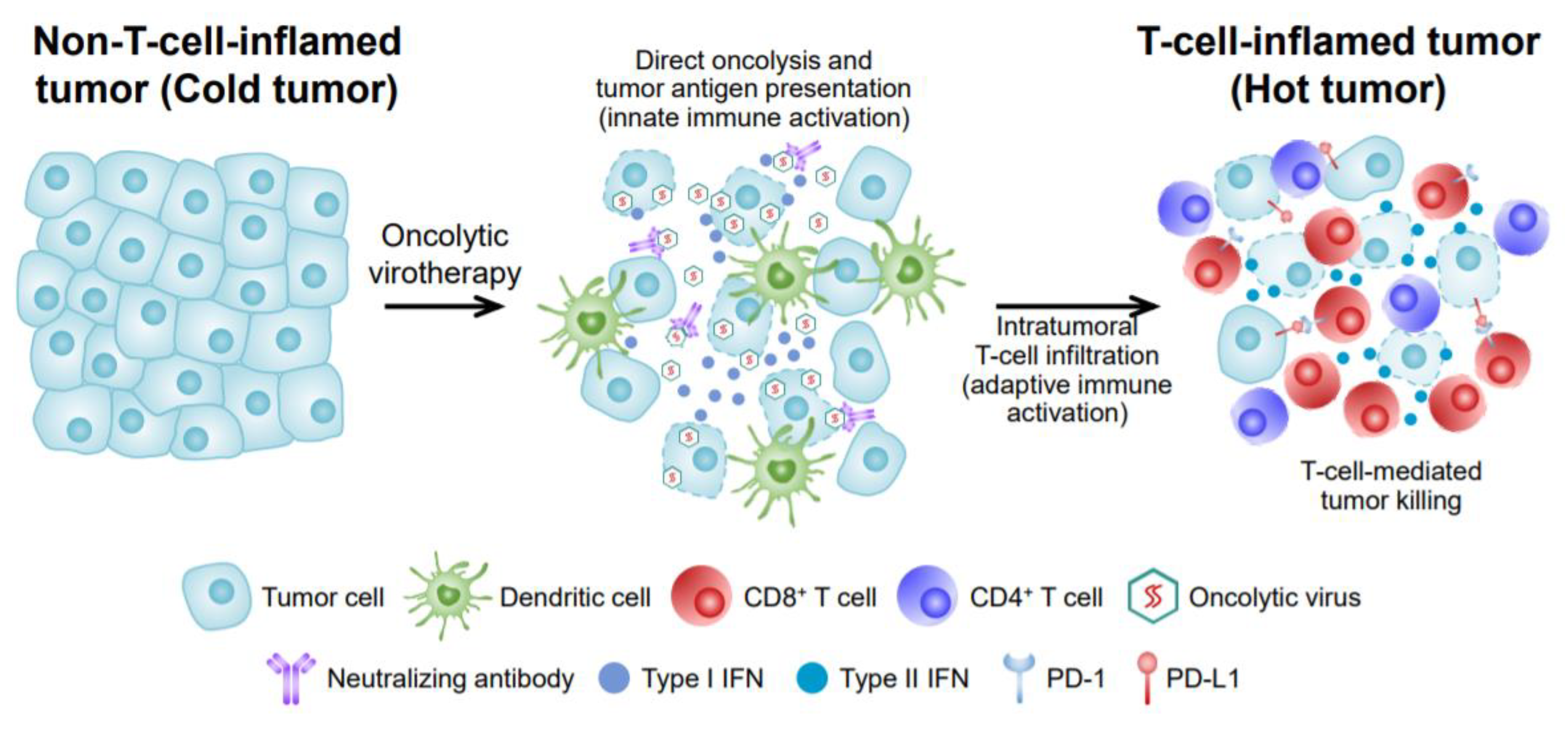 Ijms 21 07743 g001 Ijms 21 07743 g001