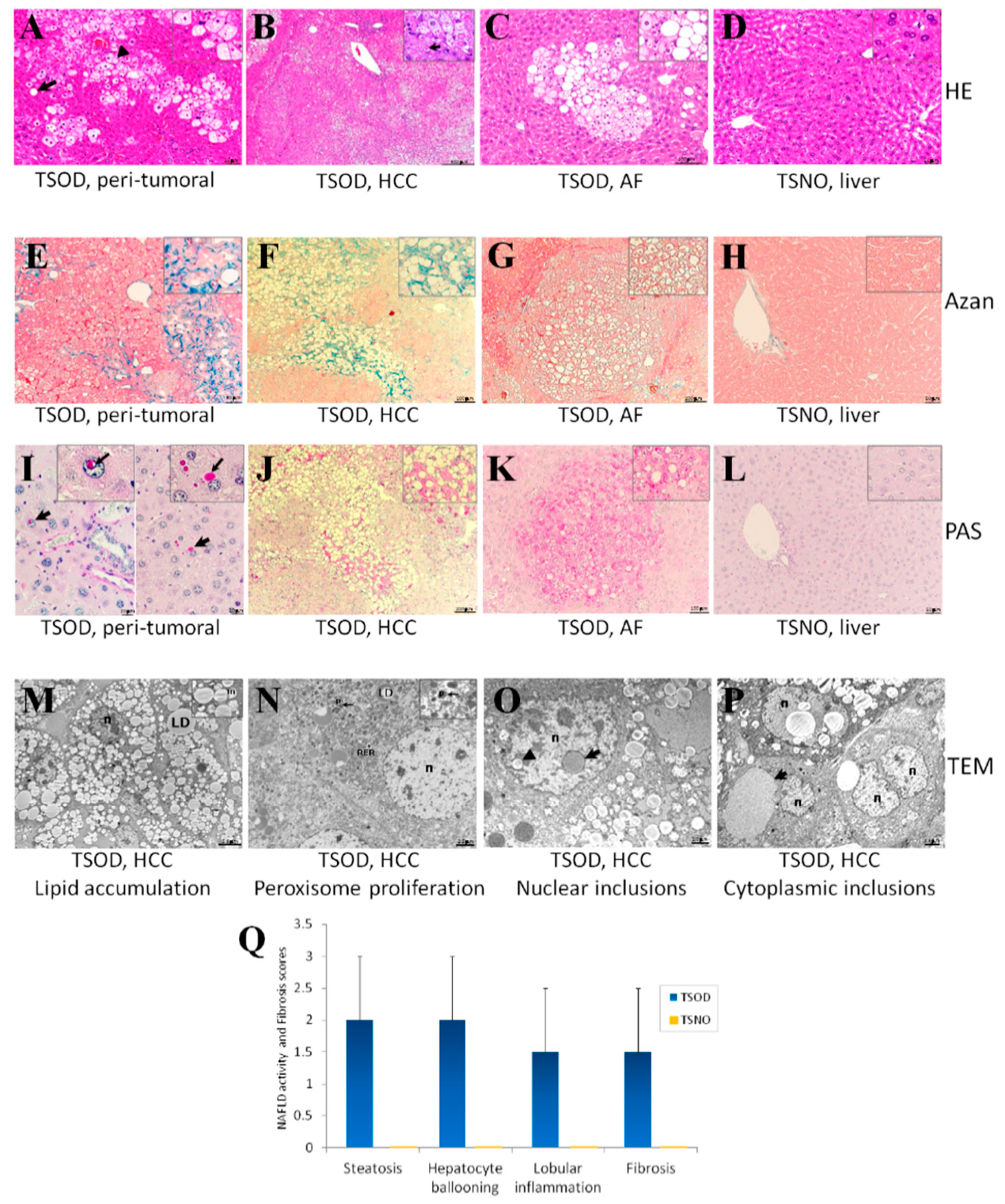 Ijms 21 07746 g001 Ijms 21 07746 g001