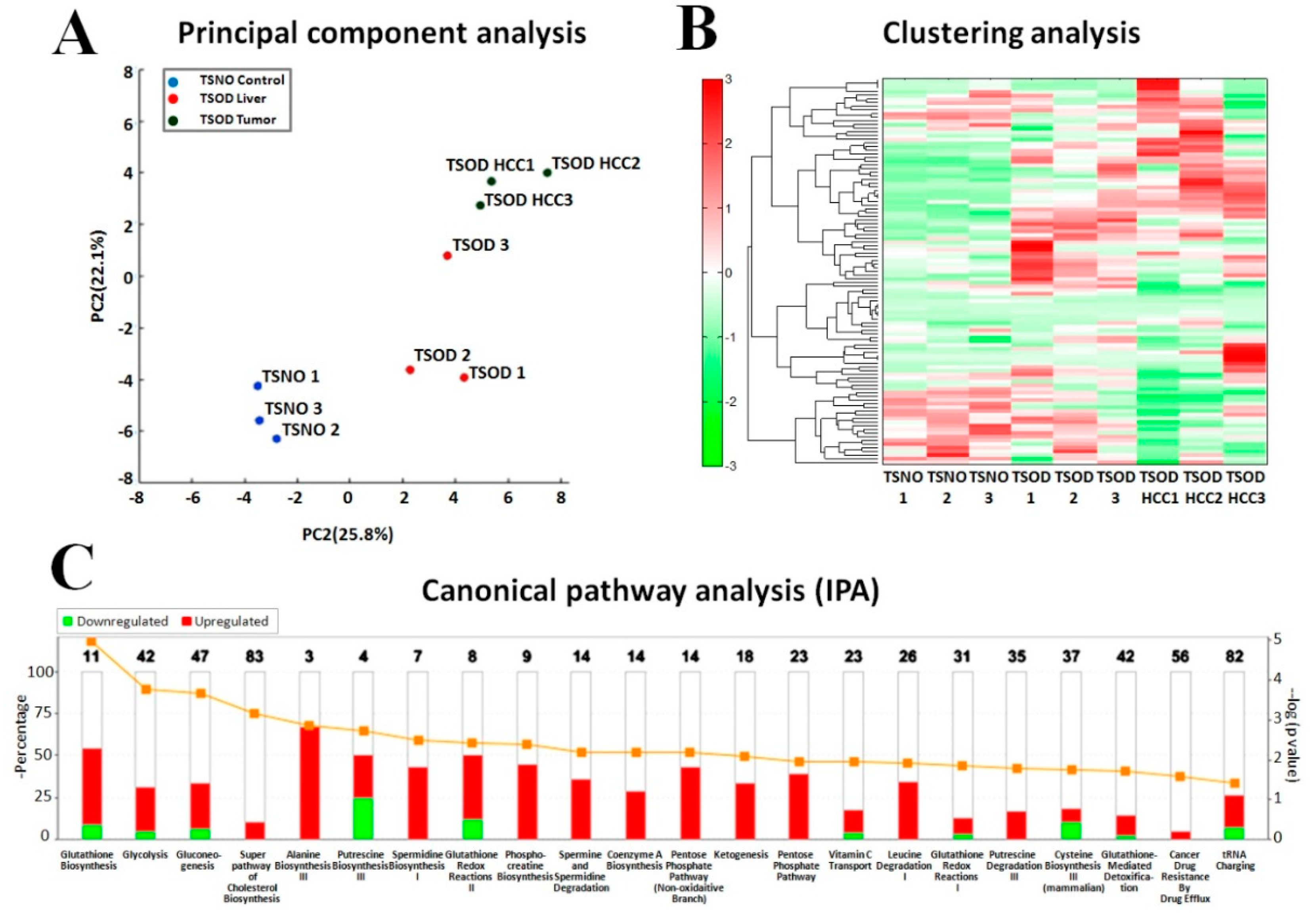 Ijms 21 07746 g002 Ijms 21 07746 g002