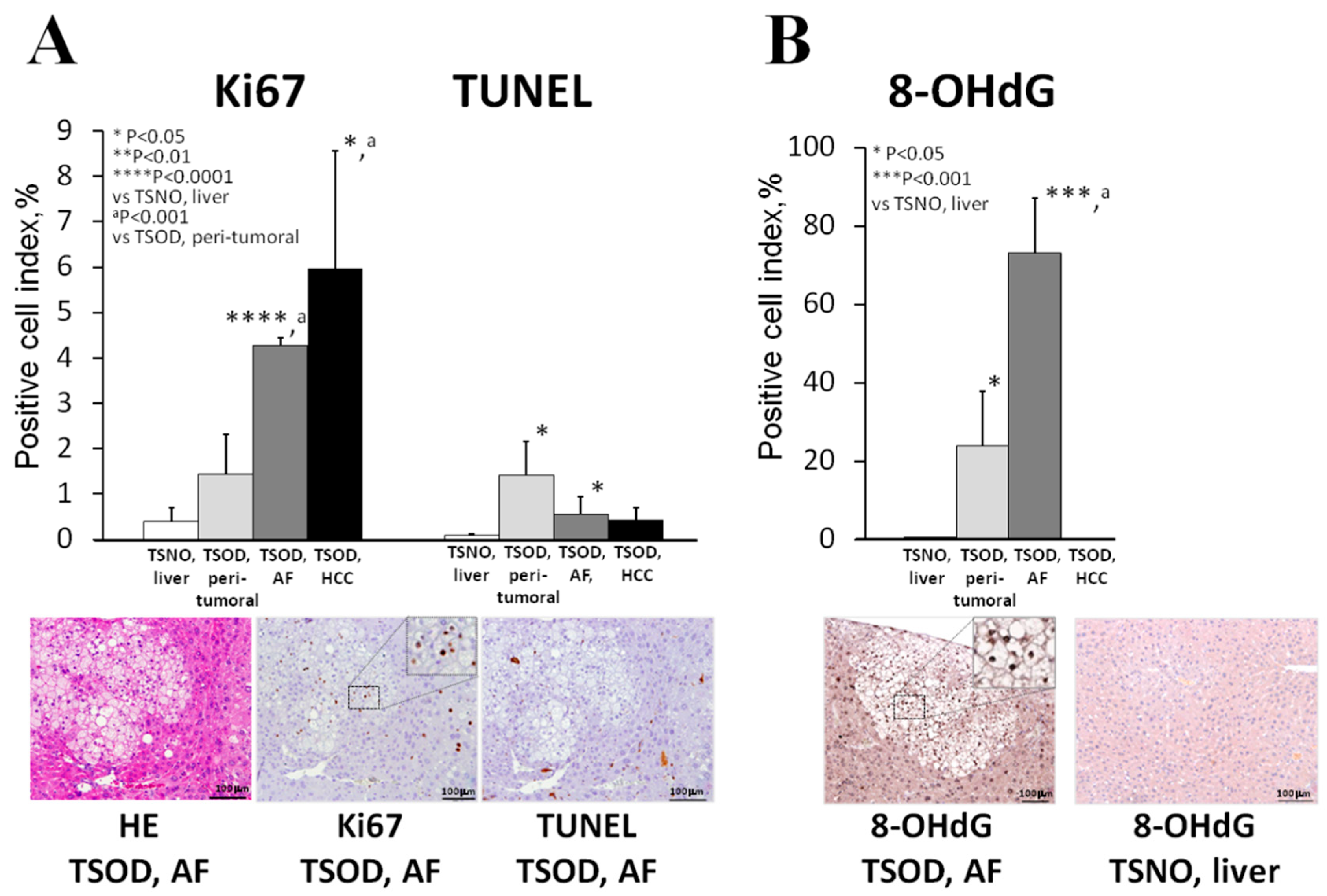 Ijms 21 07746 g003 Ijms 21 07746 g003